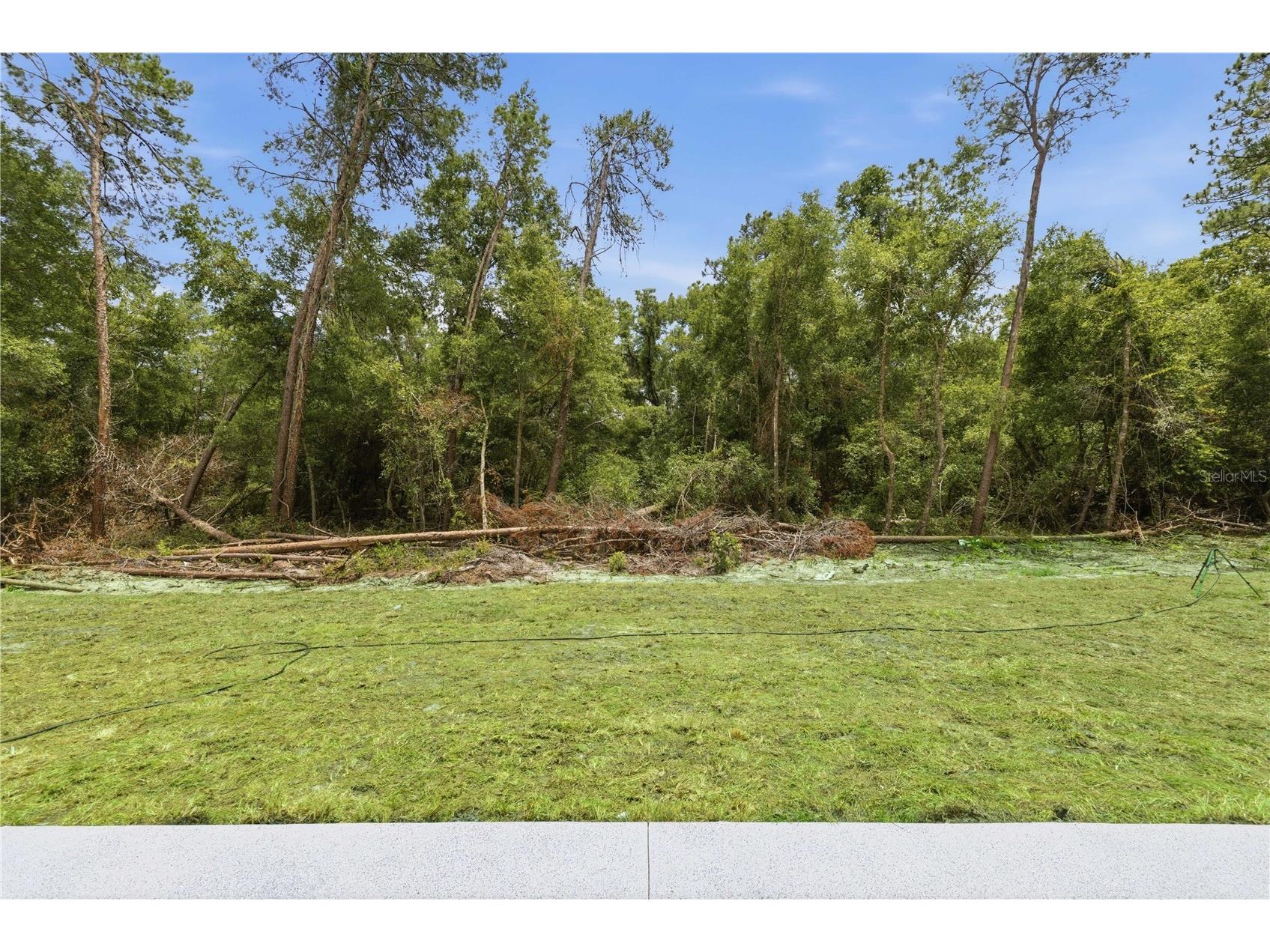 10 Bay Lane Ocklawaha FL 32179 OM726558 image25