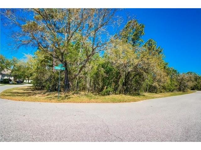 10 Bonnie Drive Homosassa FL 34446 T3507423 image1