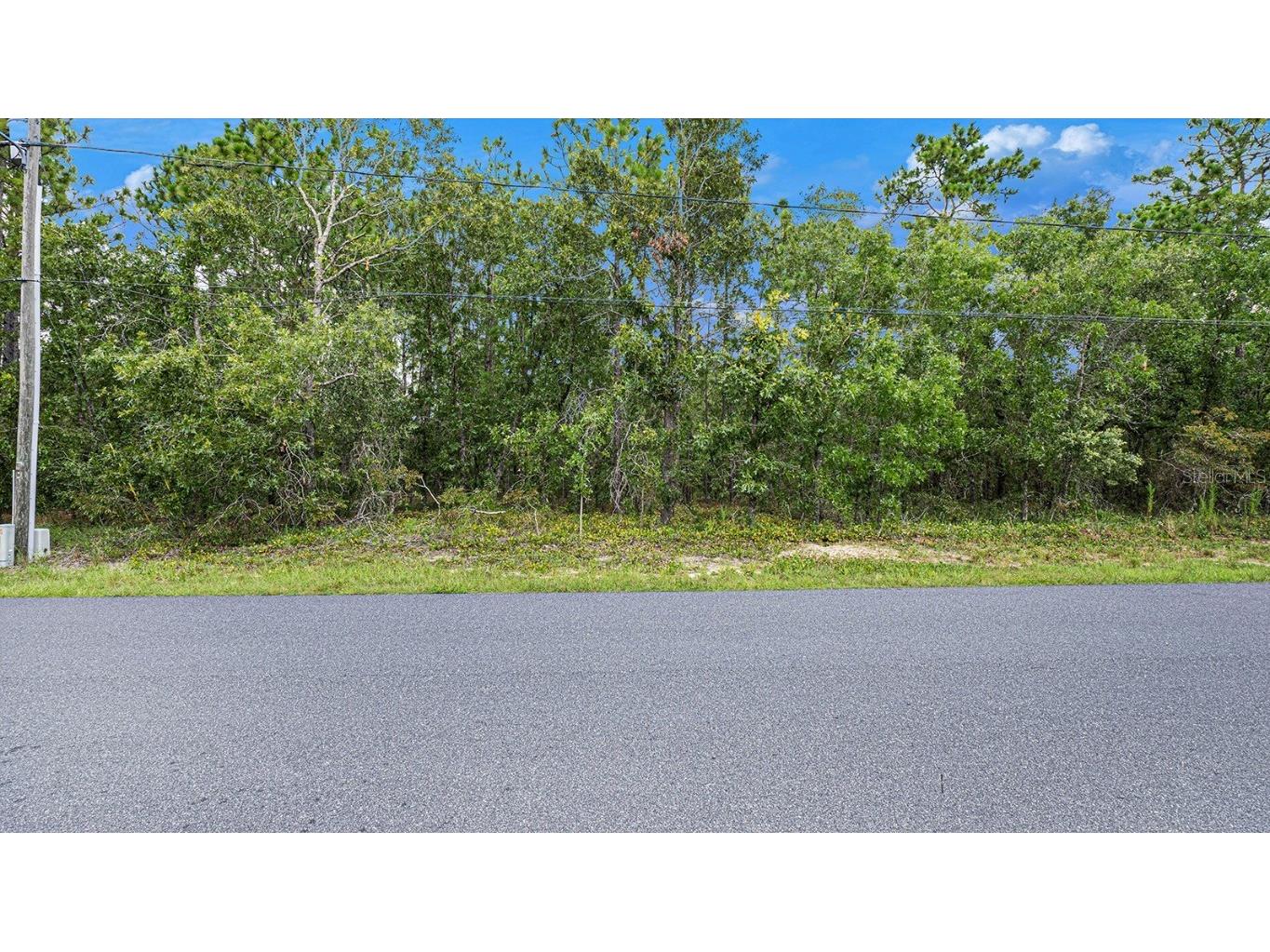 10 Boxleaf Court Homosassa FL 34446 T3392298 image1