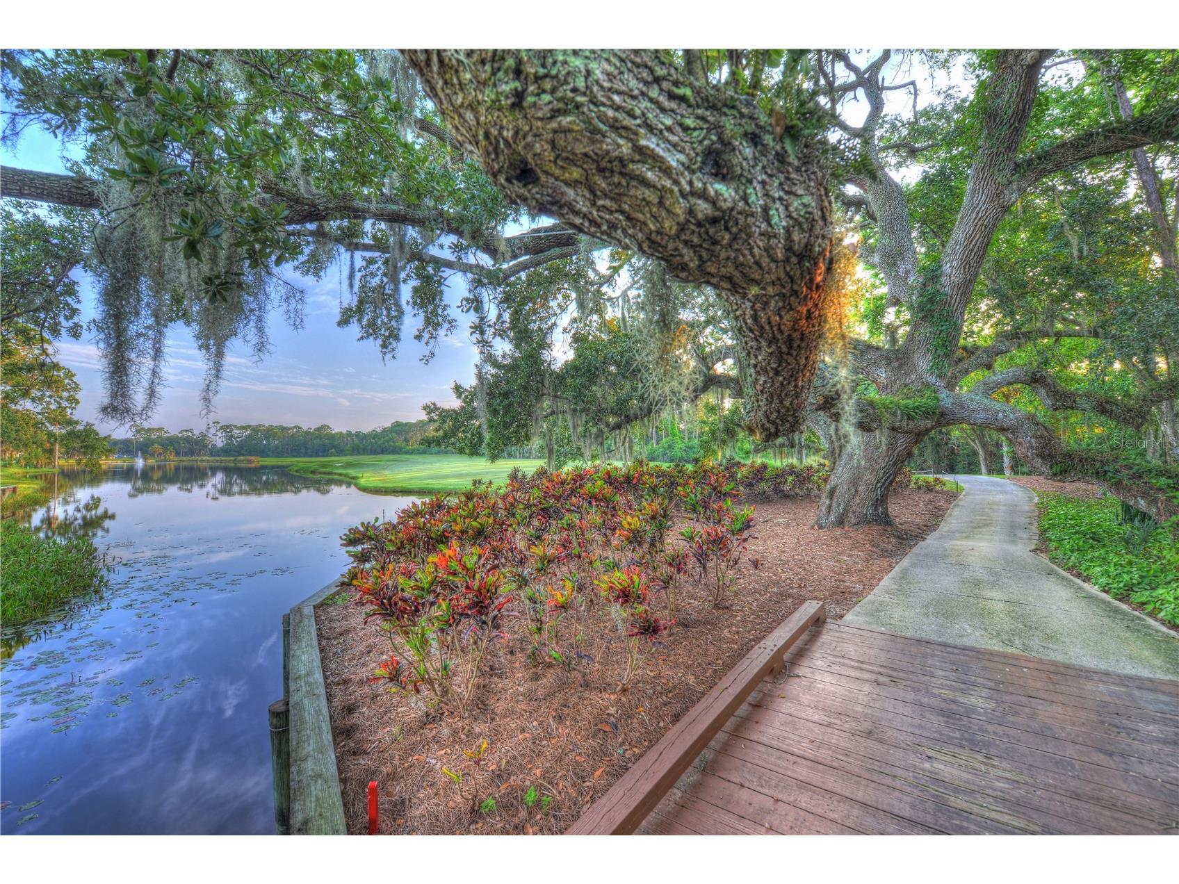 10 Broadwater Road Ormond Beach FL 32174 TB8466223 image33