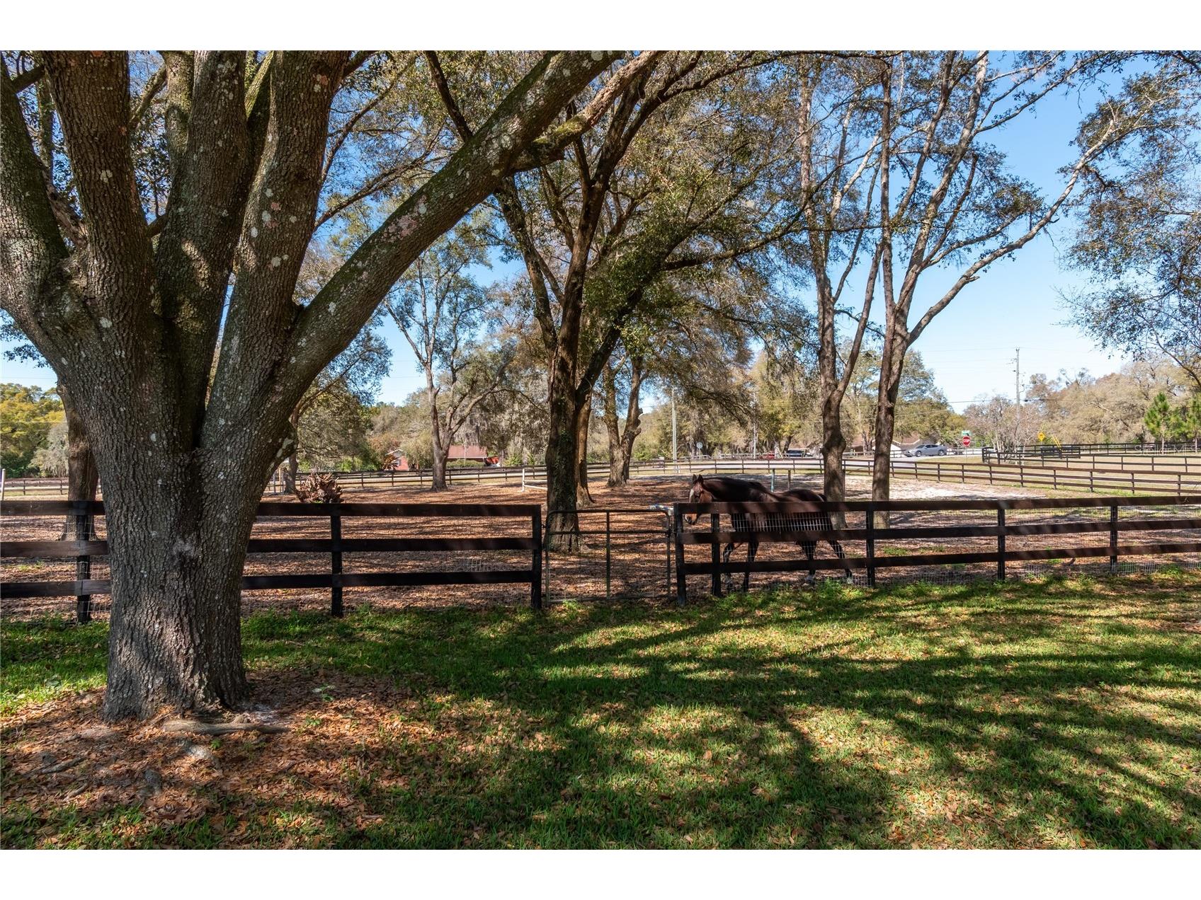 10 Carry Back Road Ocala FL 34482 OM720466 image56