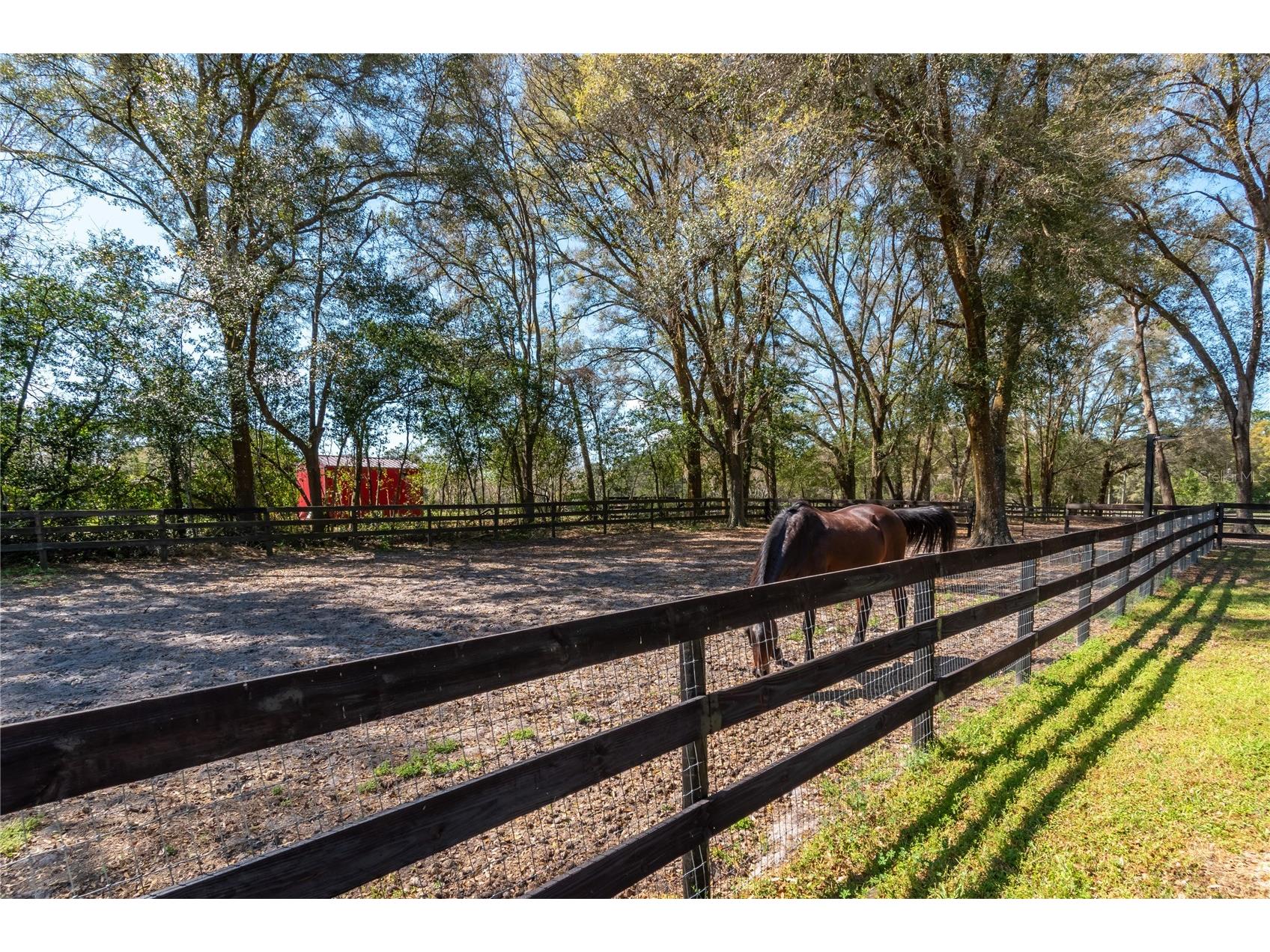 10 Carry Back Road Ocala FL 34482 OM720466 image59