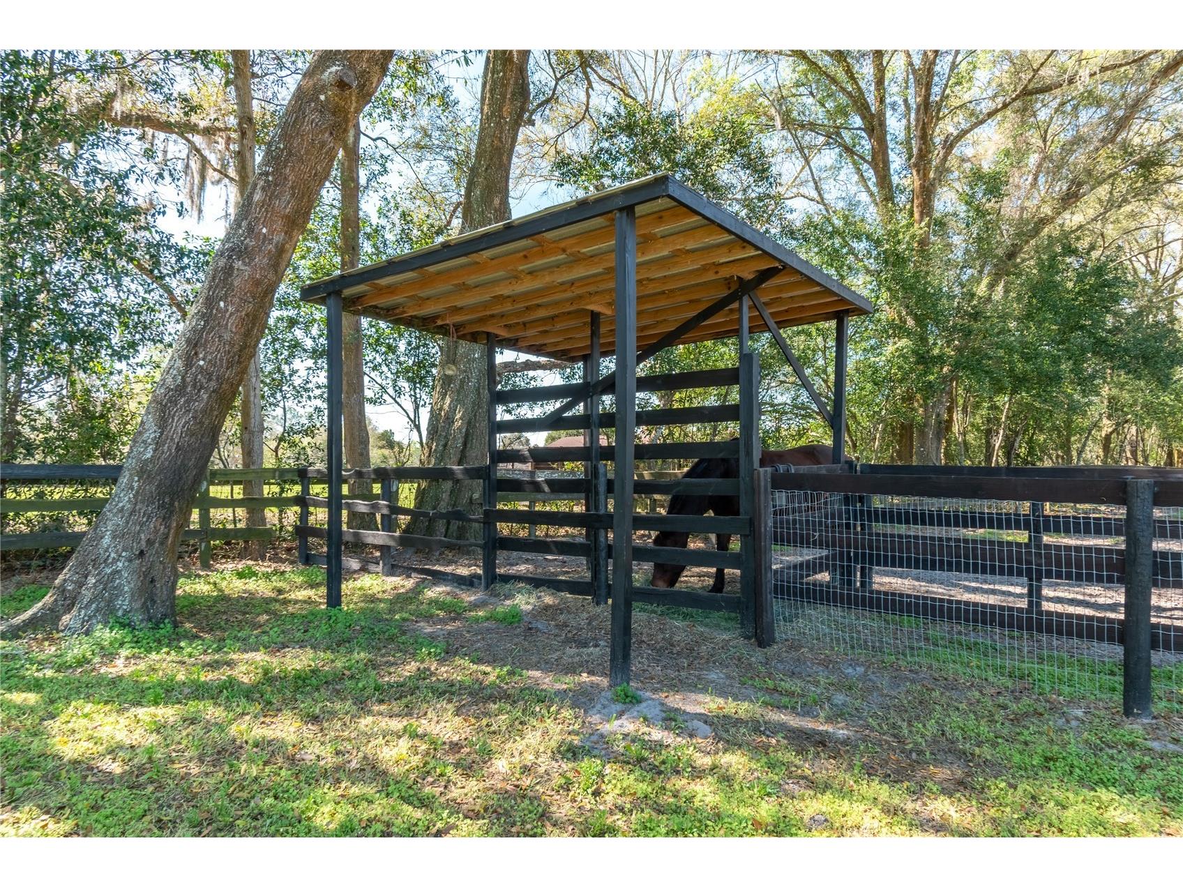 10 Carry Back Road Ocala FL 34482 OM720466 image61