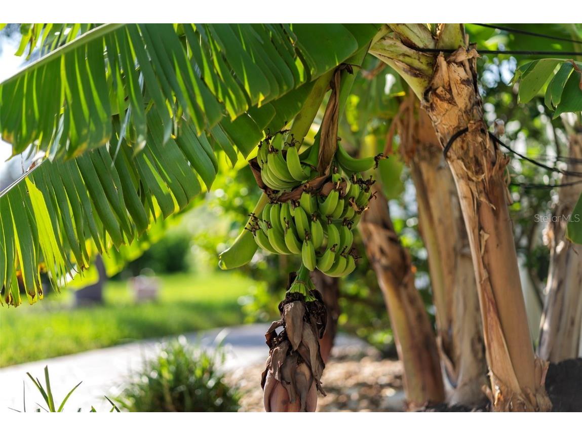 10 Coral Creek Place Placida FL 33946 D6143832 image66