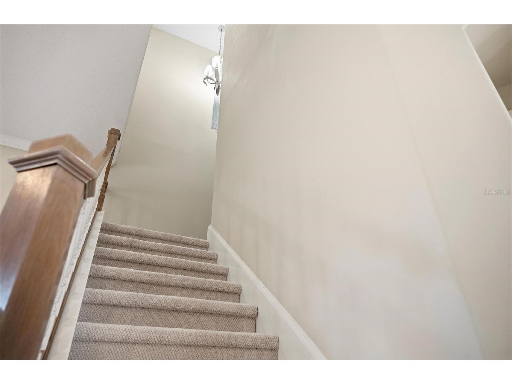 10 Cordoba Court Palm Coast FL 32137 FC317098 image65