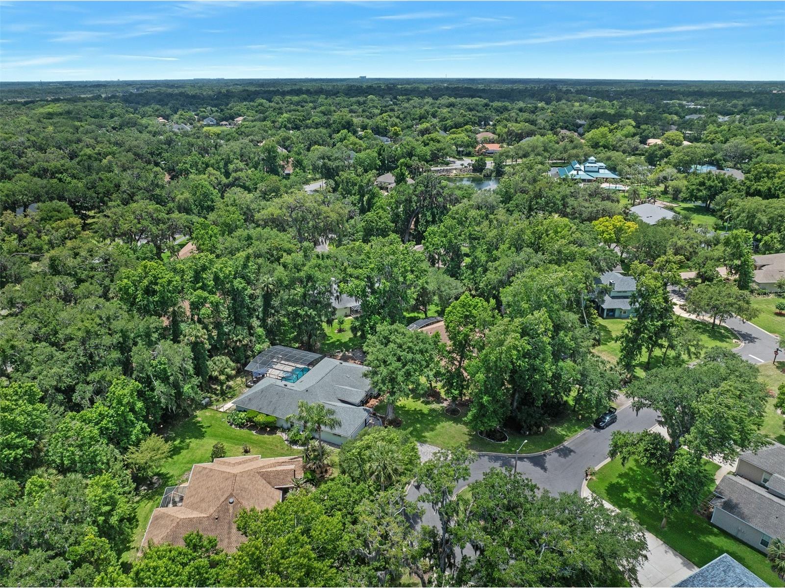 10 Cotton Mill Court Ormond Beach FL 32174 V4949242 image11
