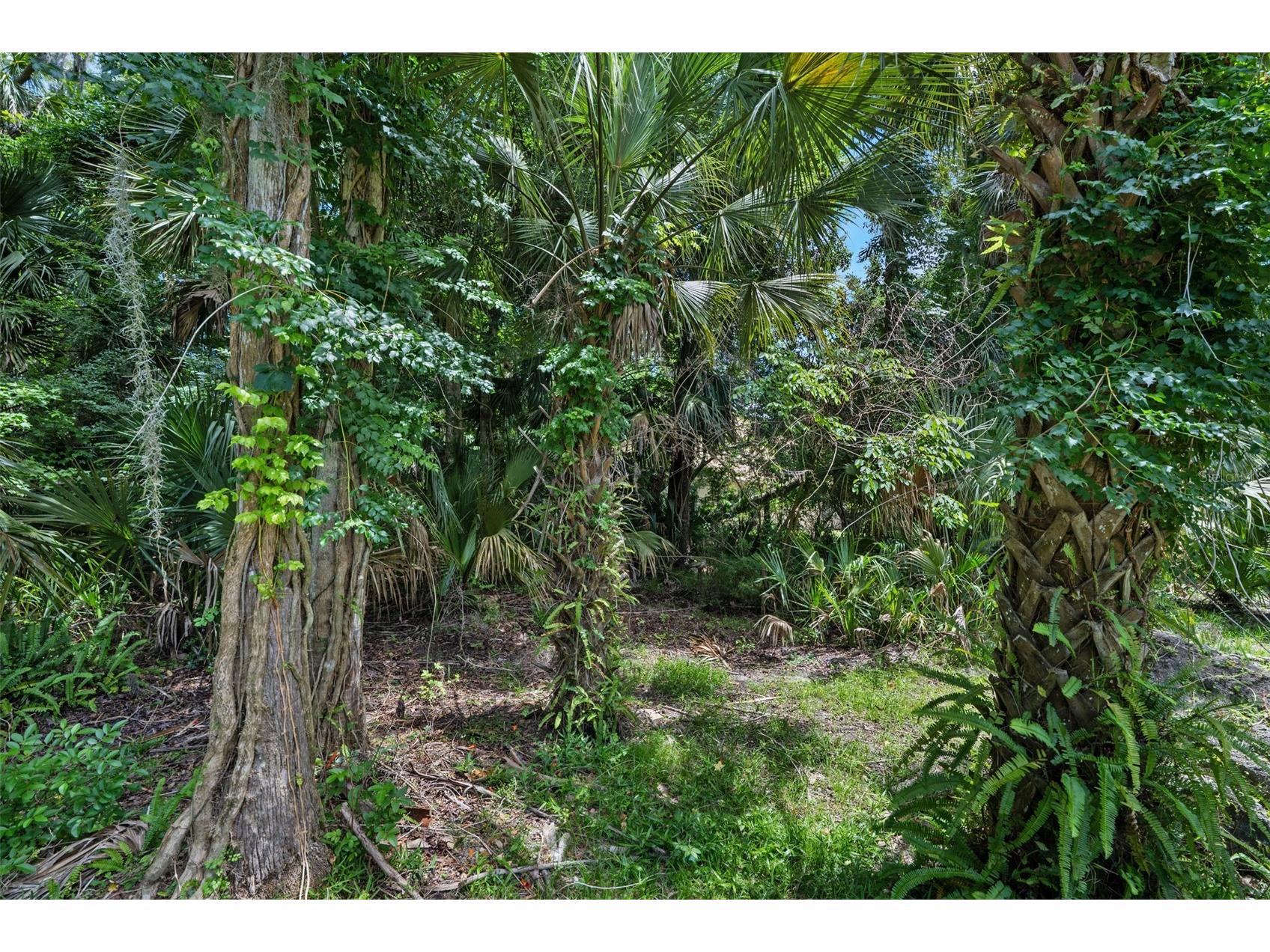 10 Cotton Mill Court Ormond Beach FL 32174 V4949242 image69