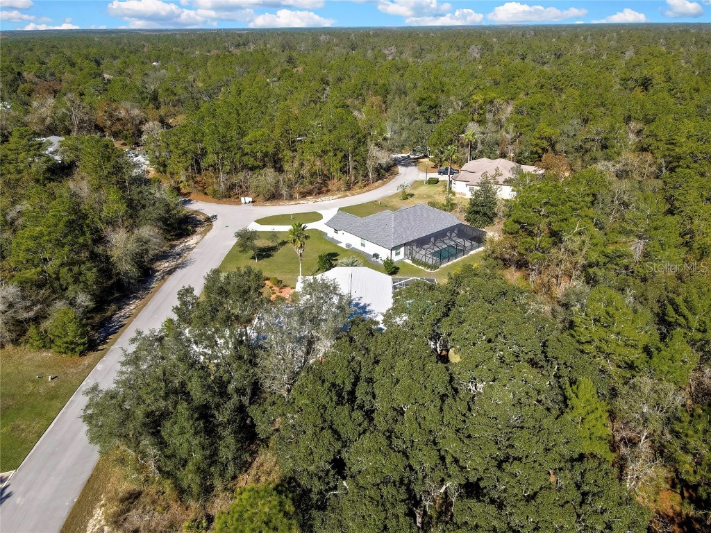 10 Euphorbia Court Homosassa FL 34446 TB8426774 image79