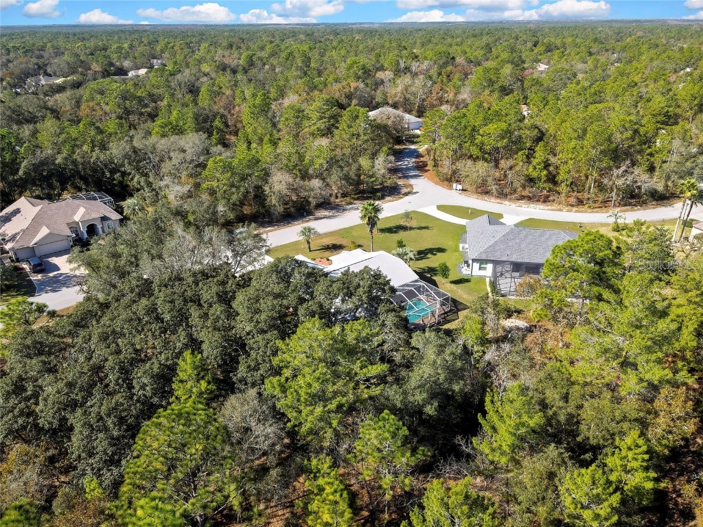 10 Euphorbia Court Homosassa FL 34446 TB8426774 image80