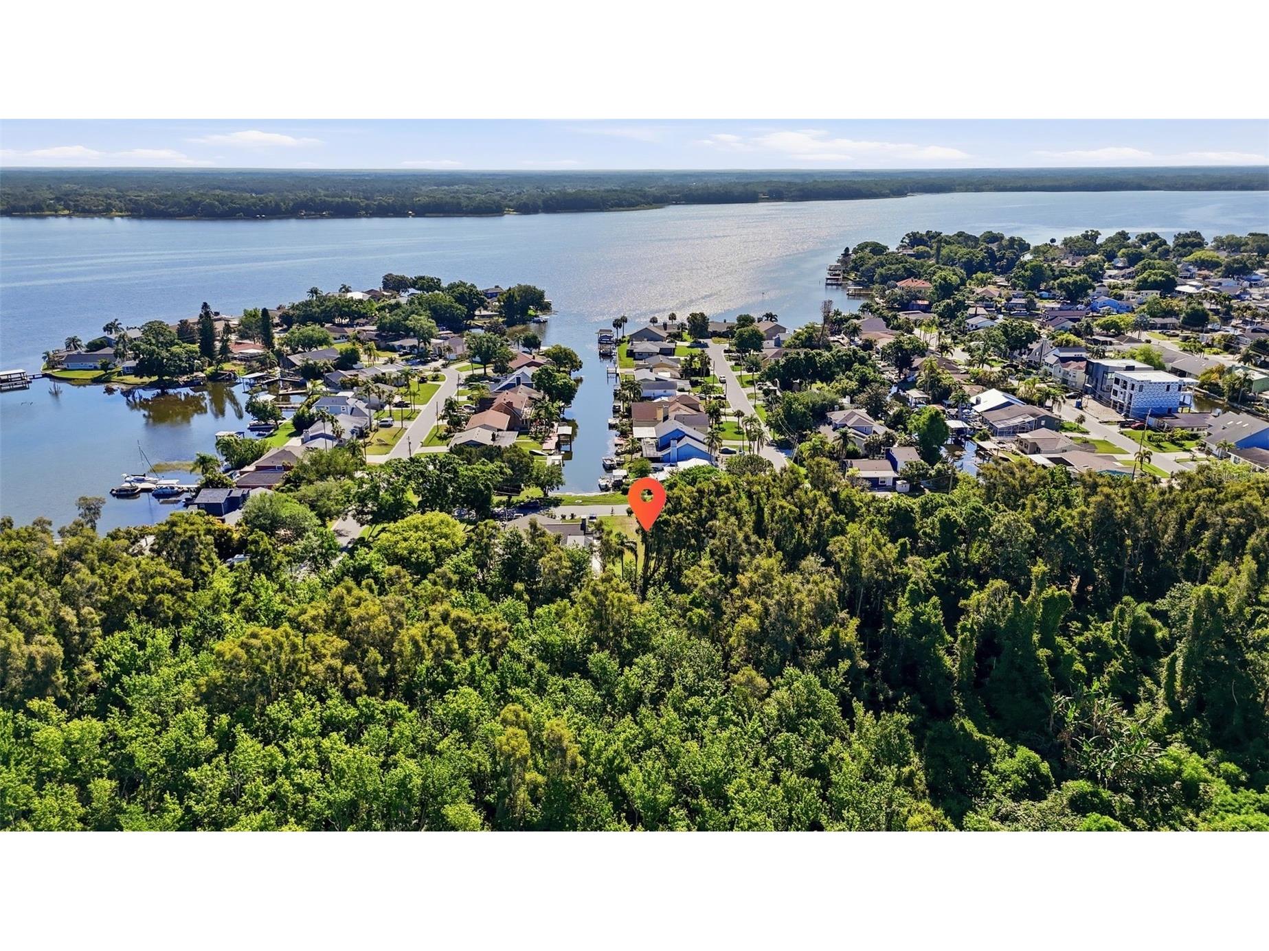 10 Freshwater Drive Palm Harbor FL 34684 - LAKE TARPON TB8500250 image4