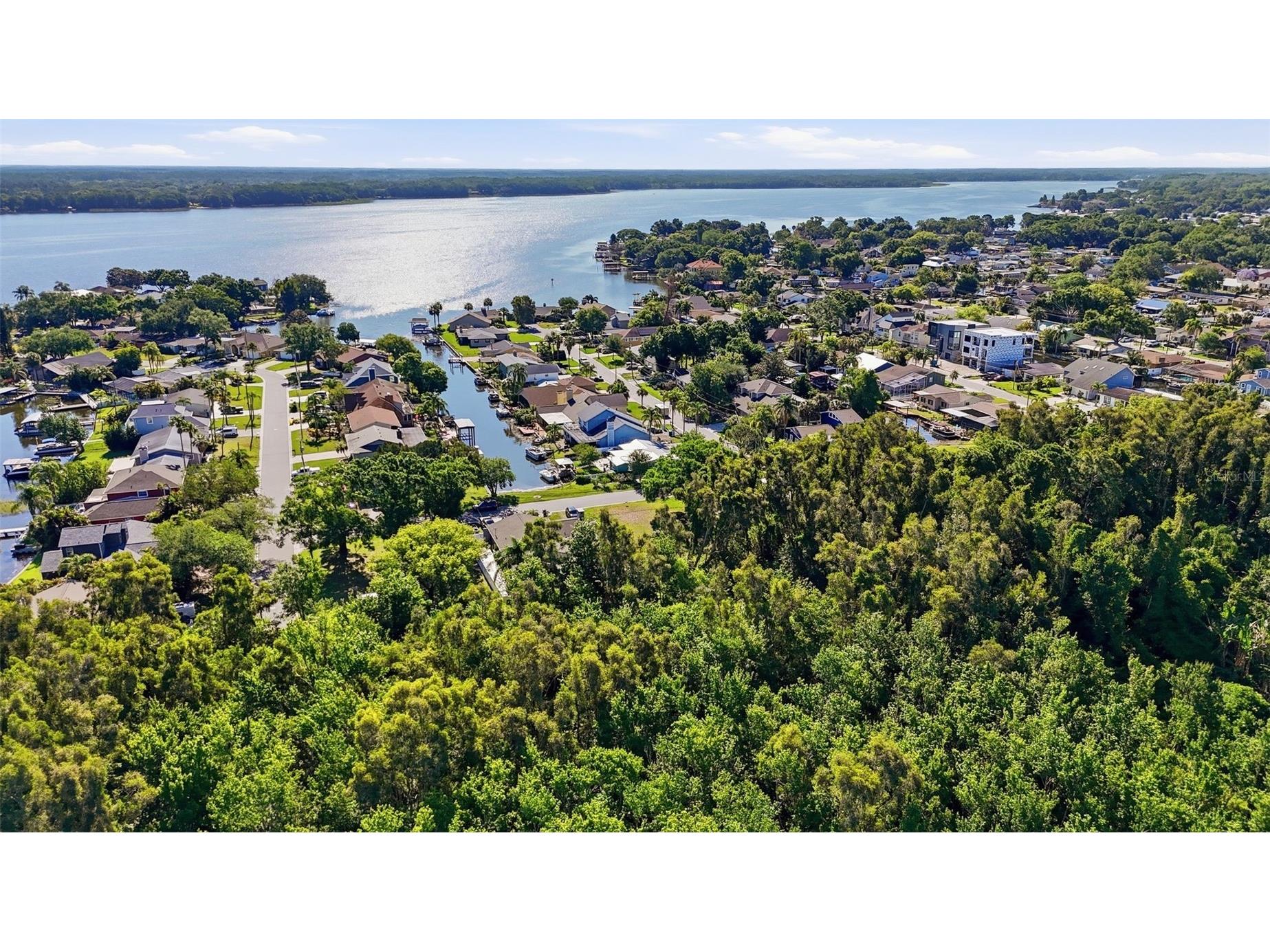 10 Freshwater Drive Palm Harbor FL 34684 - LAKE TARPON TB8500250 image6