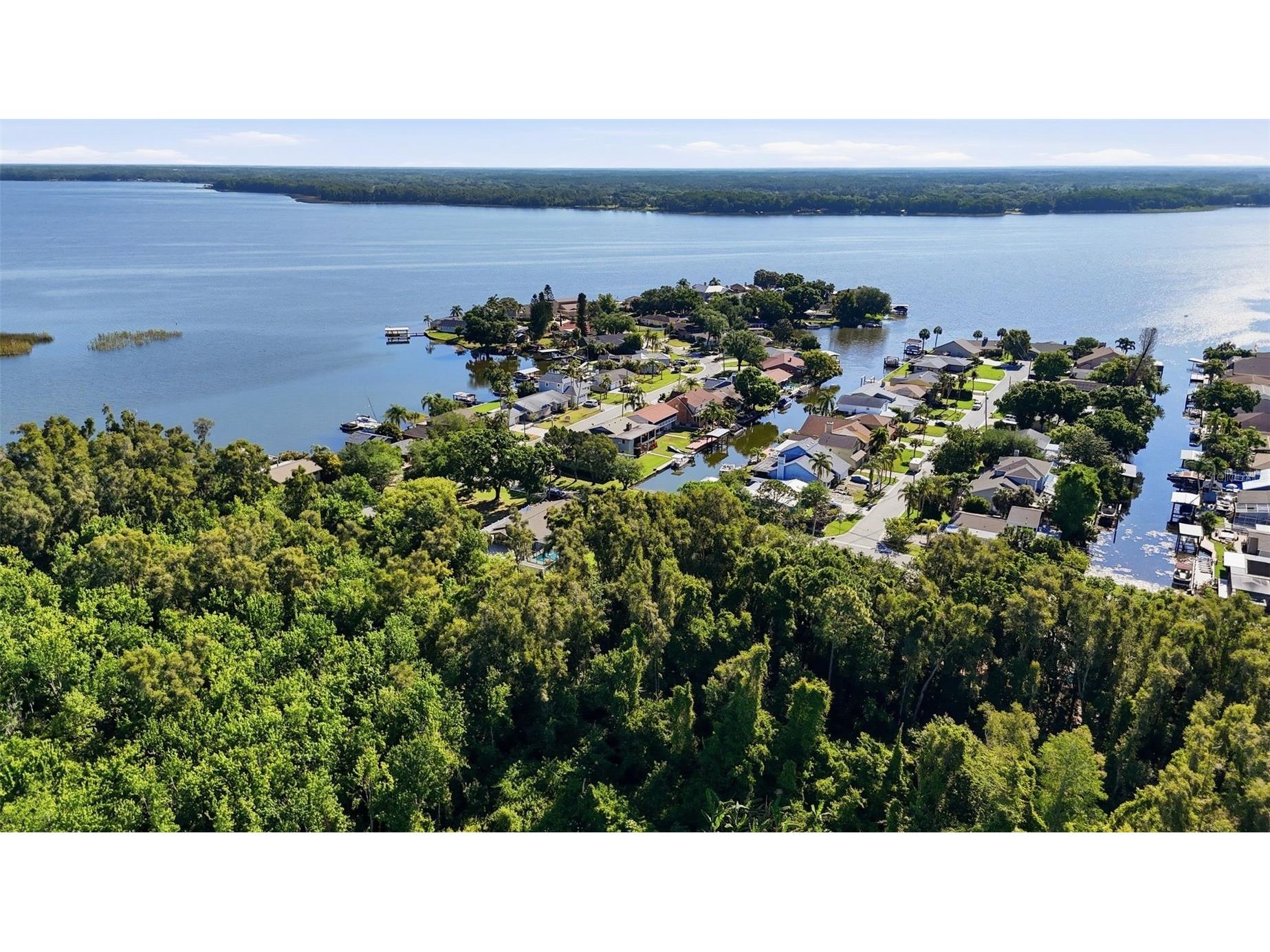 10 Freshwater Drive Palm Harbor FL 34684 - LAKE TARPON TB8500250 image8