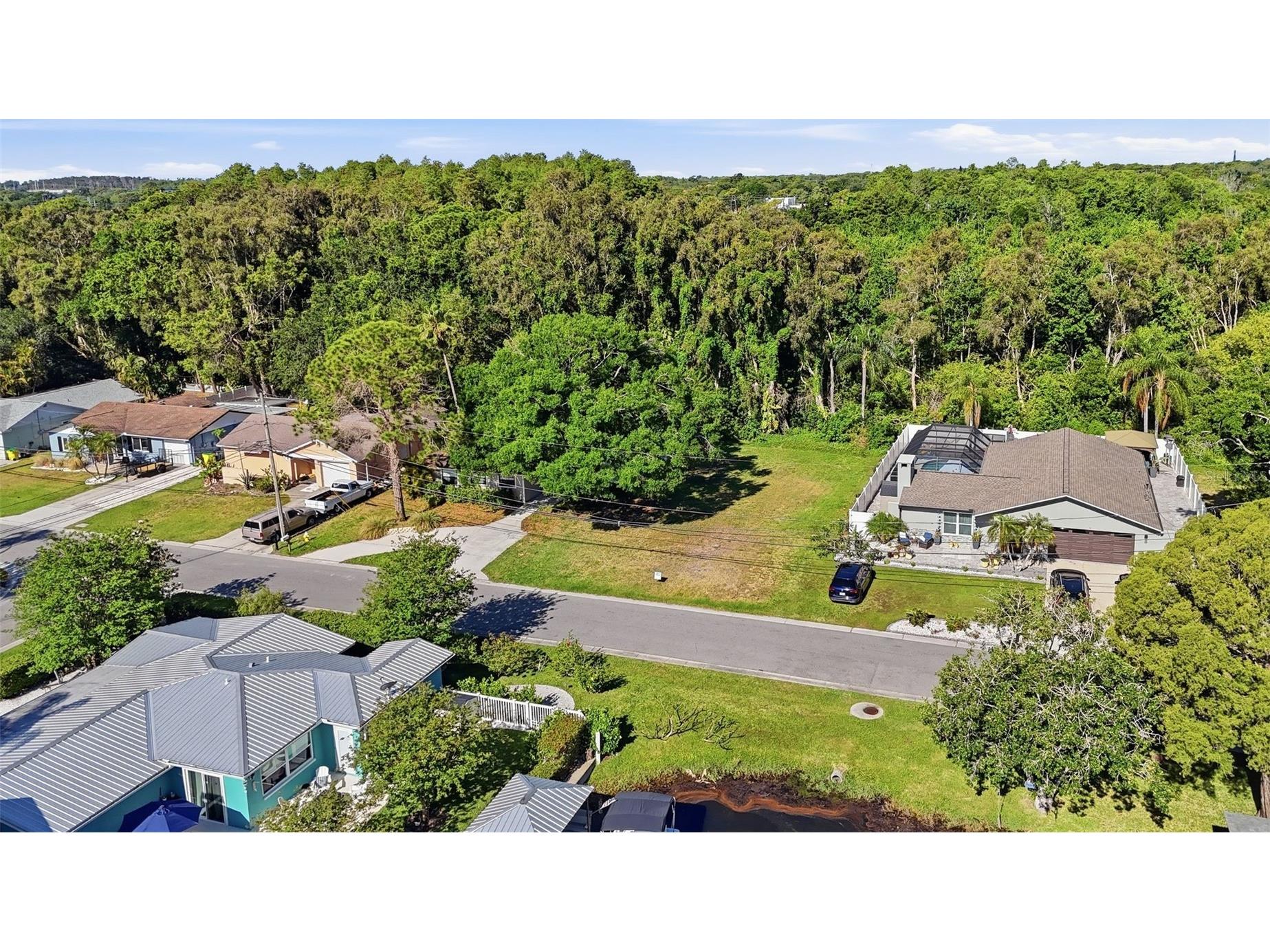 10 Freshwater Drive Palm Harbor FL 34684 - LAKE TARPON TB8500250 image9