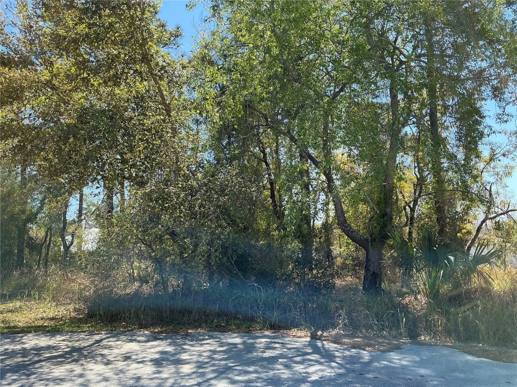 10 Hemlock Loop Pass Ocala FL 34472 OM698700 image1