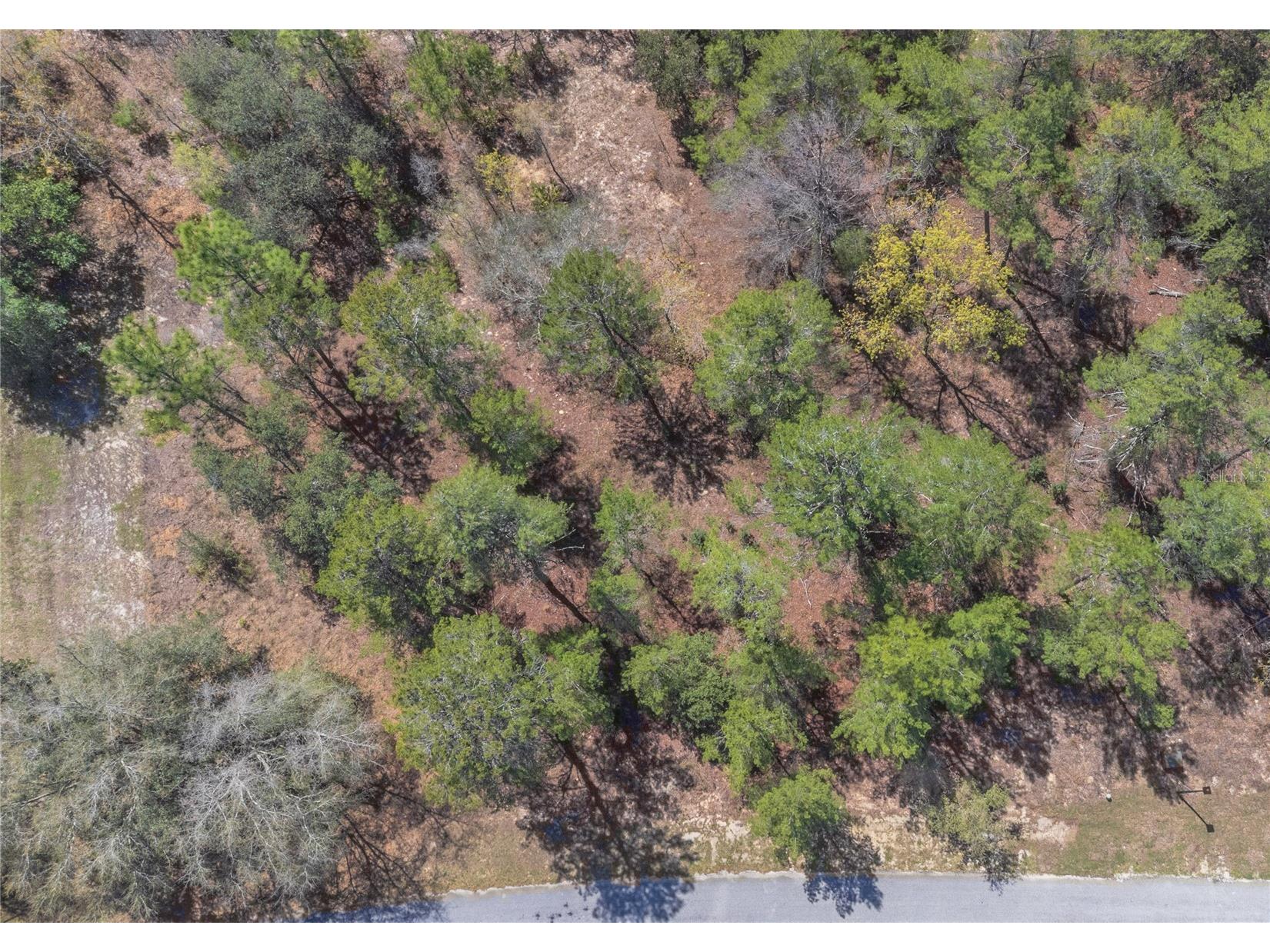 10 Heuchera Court E Homosassa FL 34446 TB8482525 image1