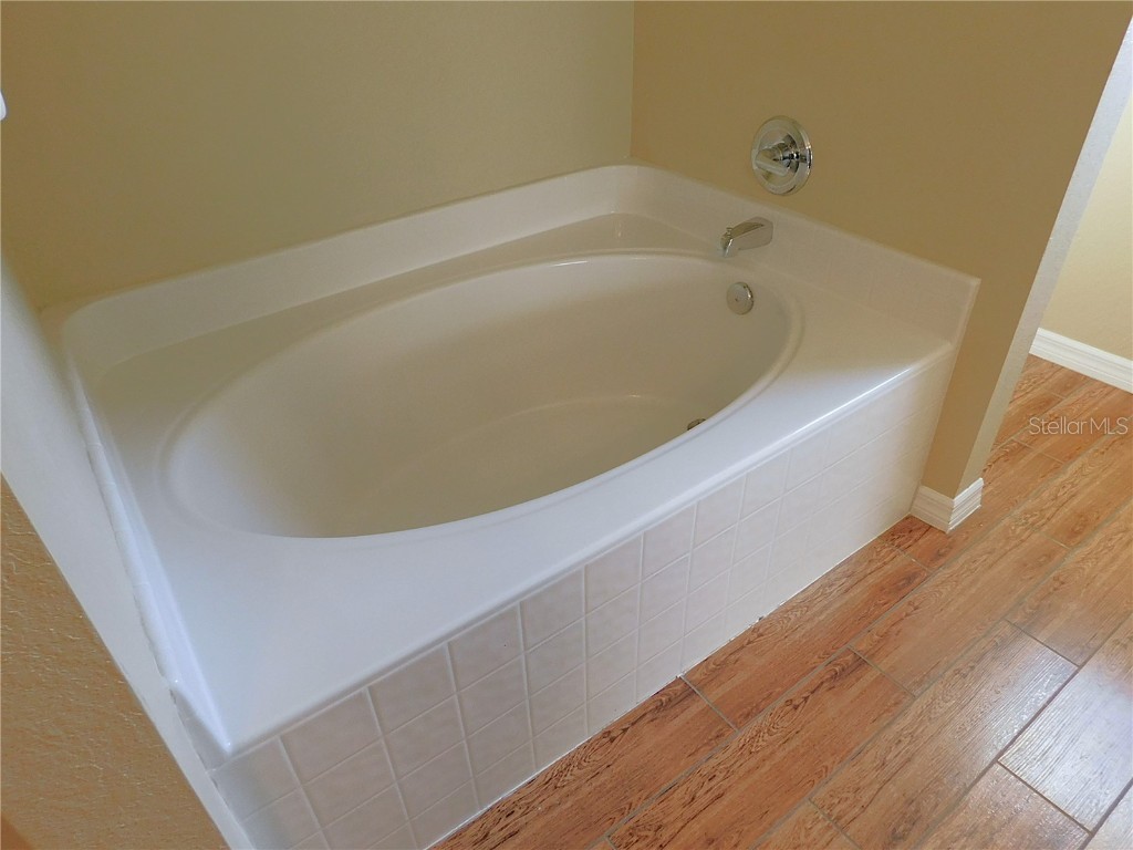 10 Malauka Place Trail Ocklawaha FL 32179 OM713193 image34