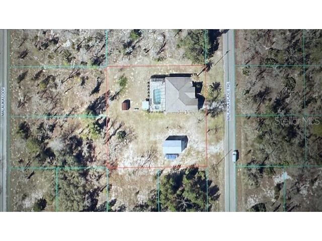 10 Malauka Place Trail Ocklawaha FL 32179 OM713193 image6