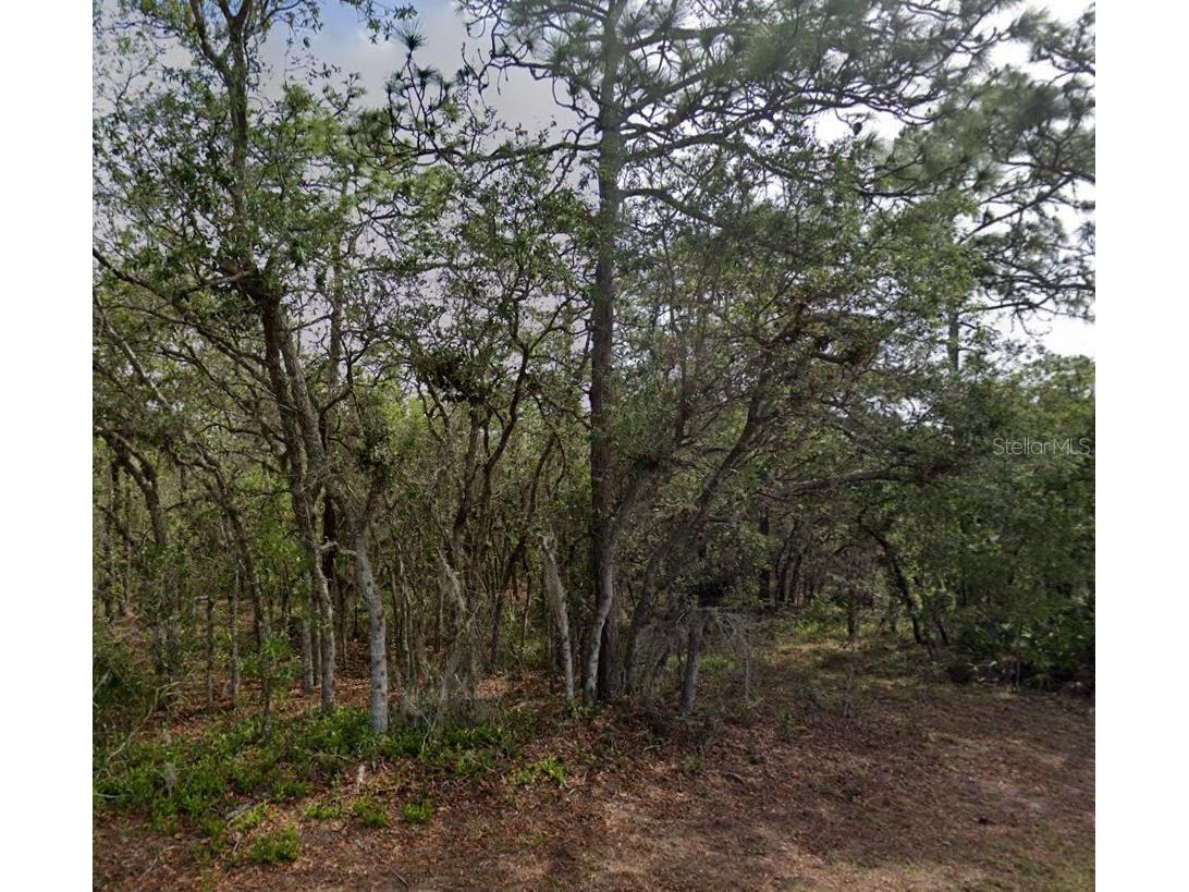 10 Milbark Drive Homosassa FL 34446 W7862827 image1