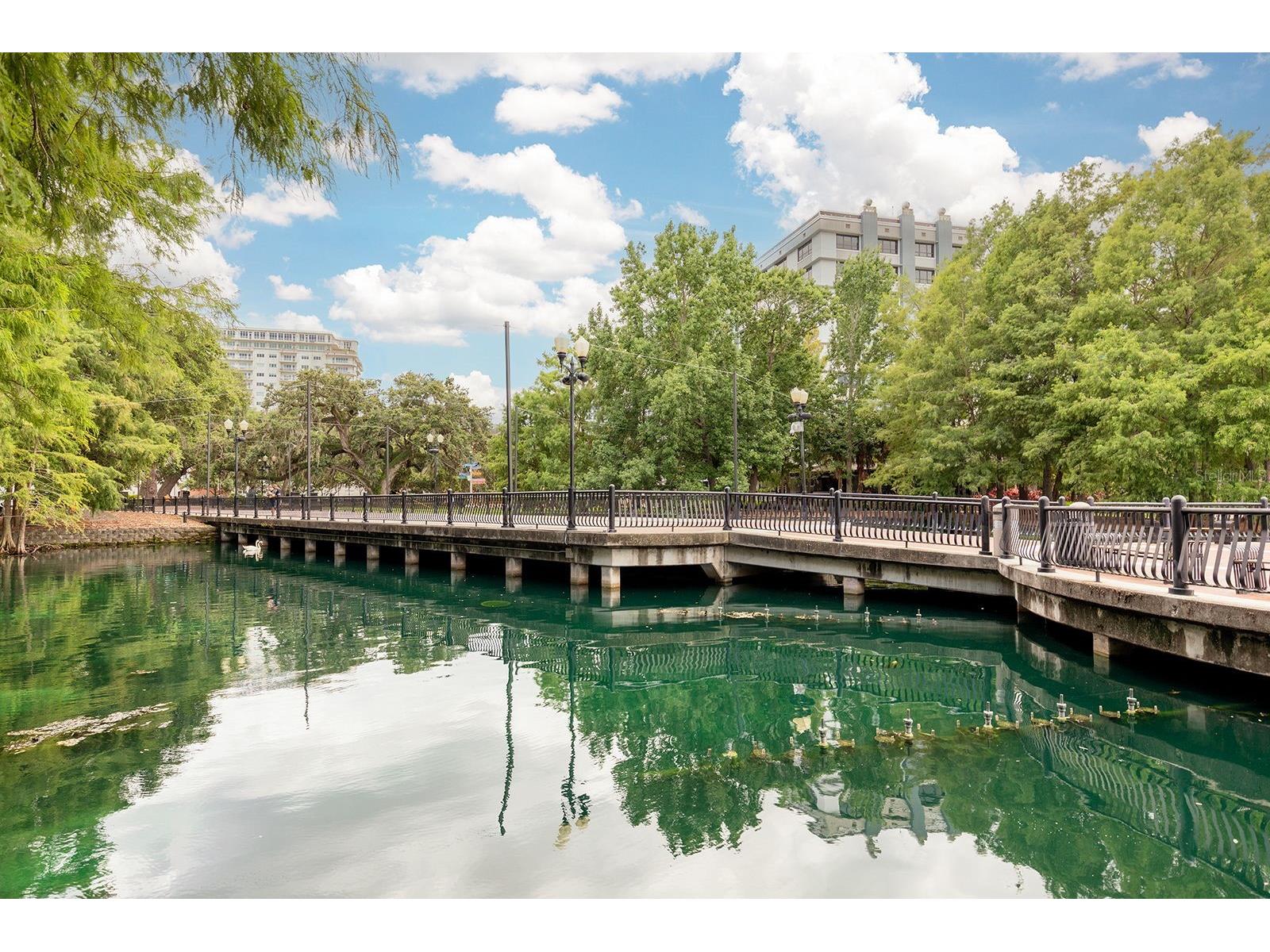 10 N Summerlin Avenue #14 Orlando FL 32801 O6421801 image29
