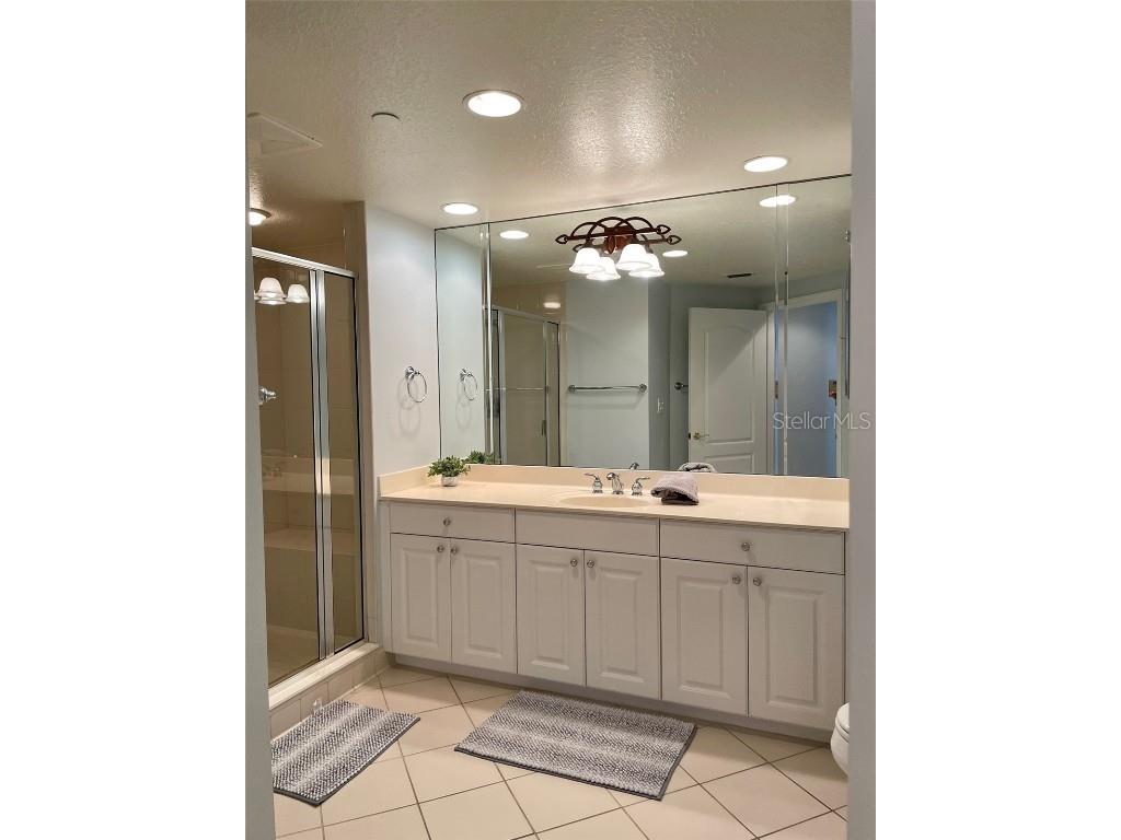 10 Papaya Street #1204 Clearwater FL 33767 - GULF OF MEXICO TB8426957 image13