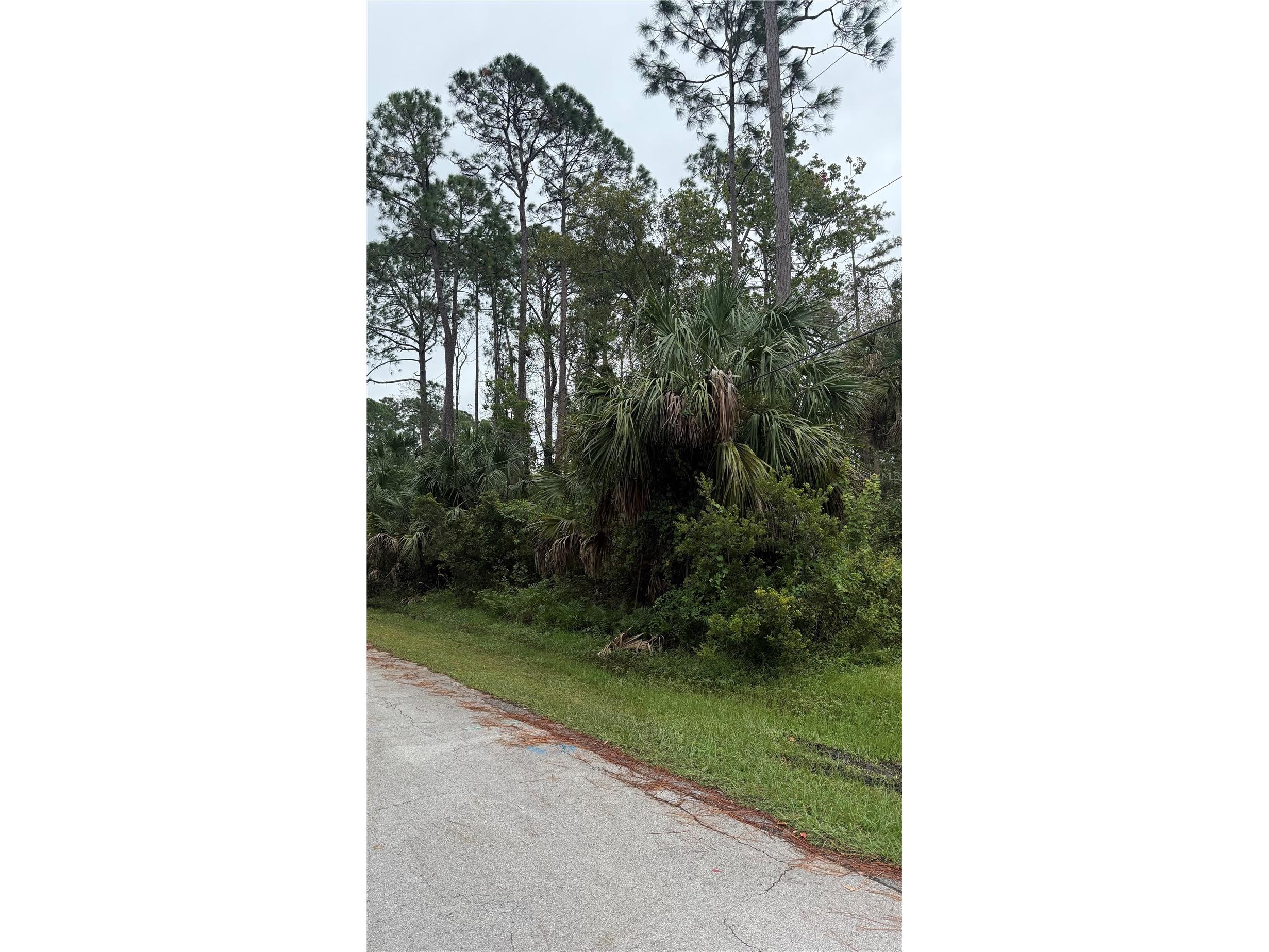 10 Poindexter Lane Palm Coast FL 32164 A4665215 image1