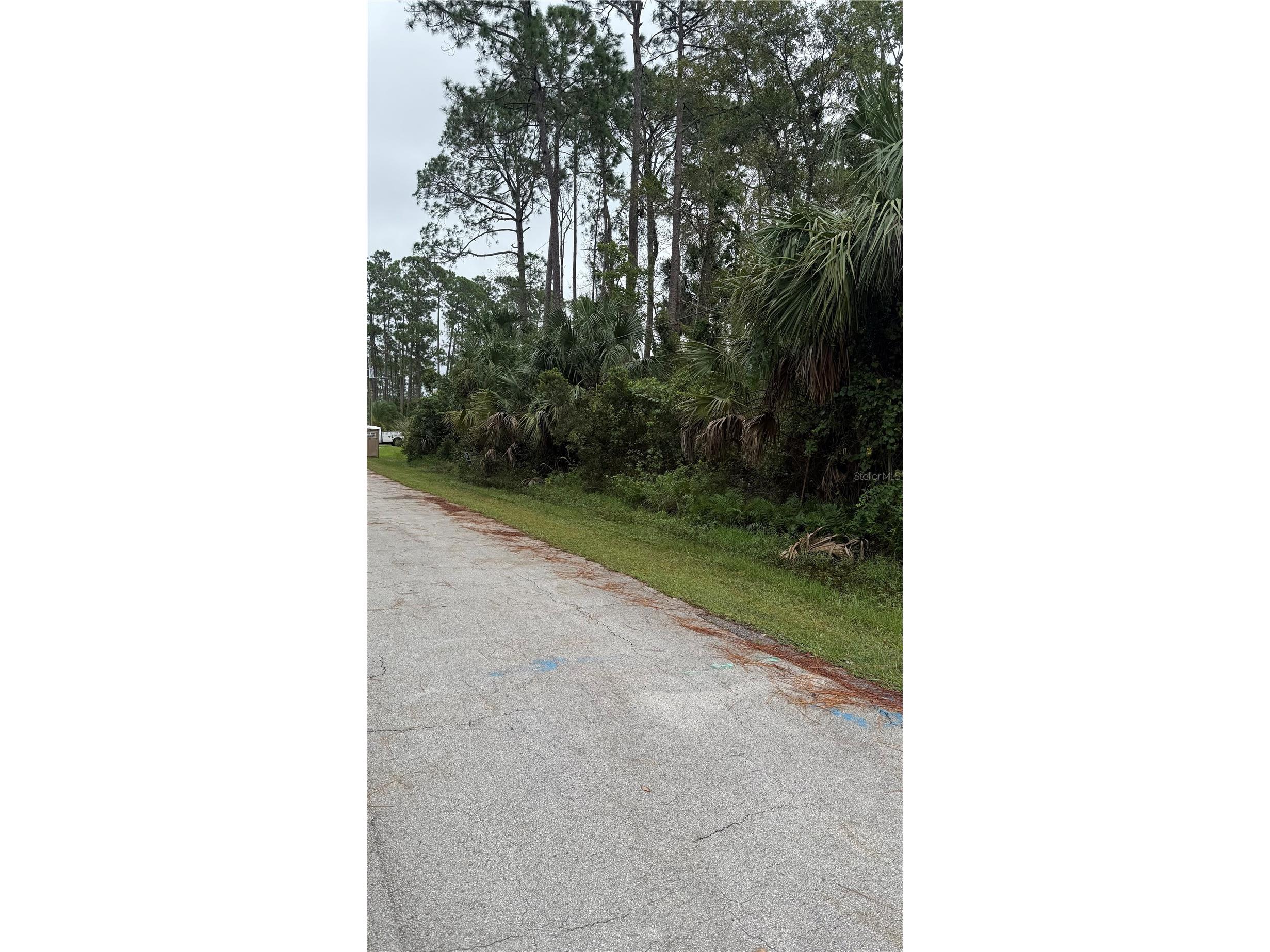 10 Poindexter Lane Palm Coast FL 32164 A4665215 image3
