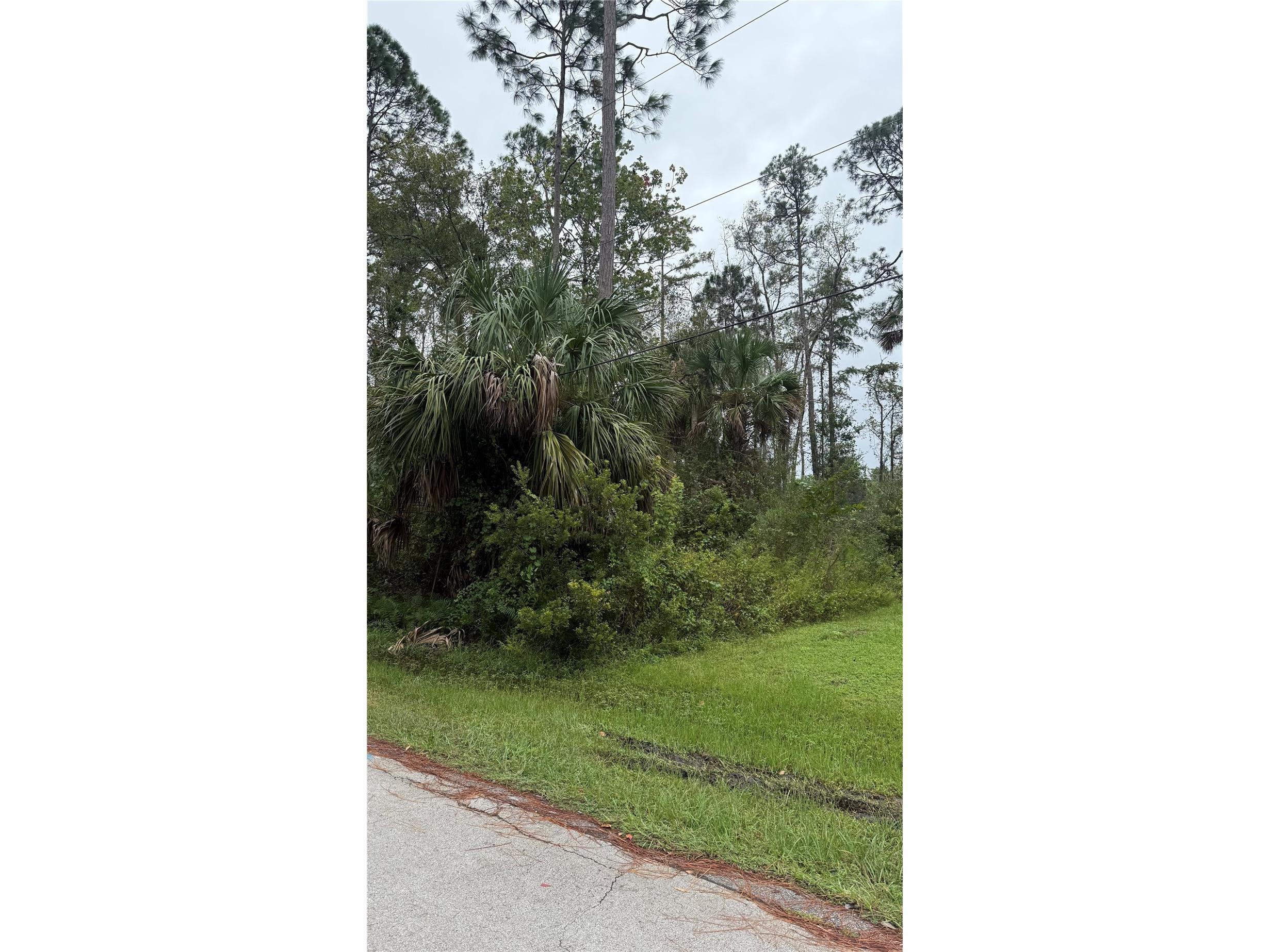 10 Poindexter Lane Palm Coast FL 32164 A4665215 image4