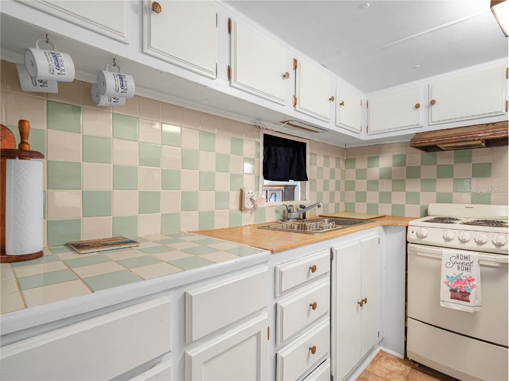 10 Red Quill Circle Lake Wales FL 33898 - SADDLEBAG LAKE K4902870 image10