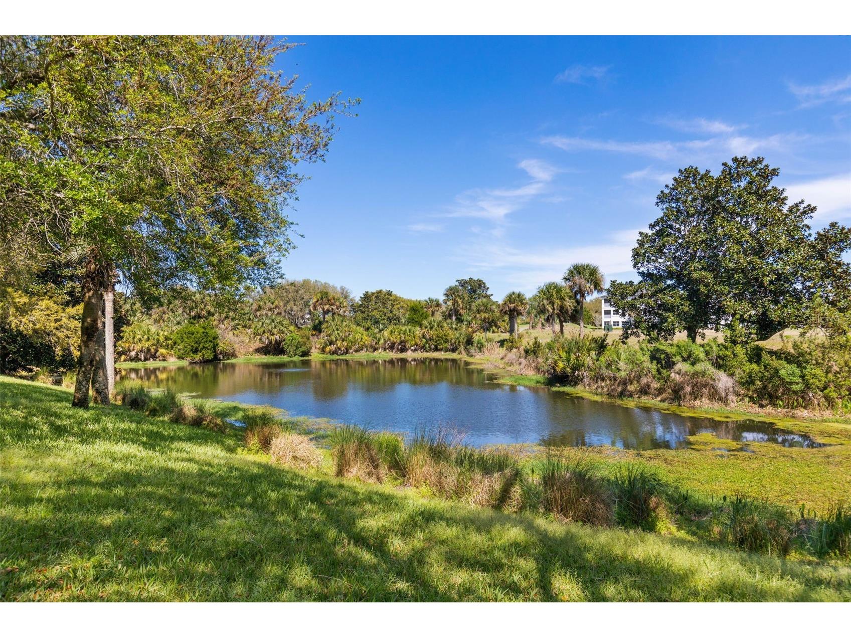10 River Point Drive Palm Coast FL 32137 FC316912 image6