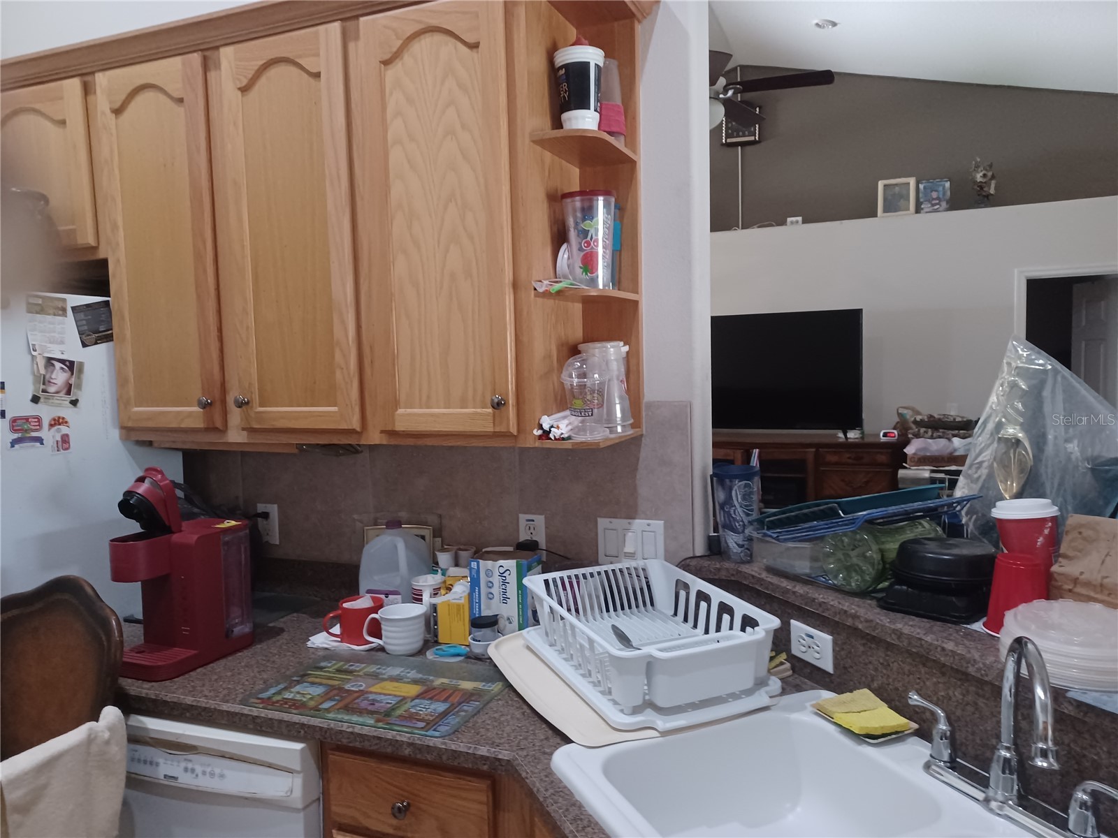 10 Rockefeller Drive Palm Coast FL 32164 W7886255 image8