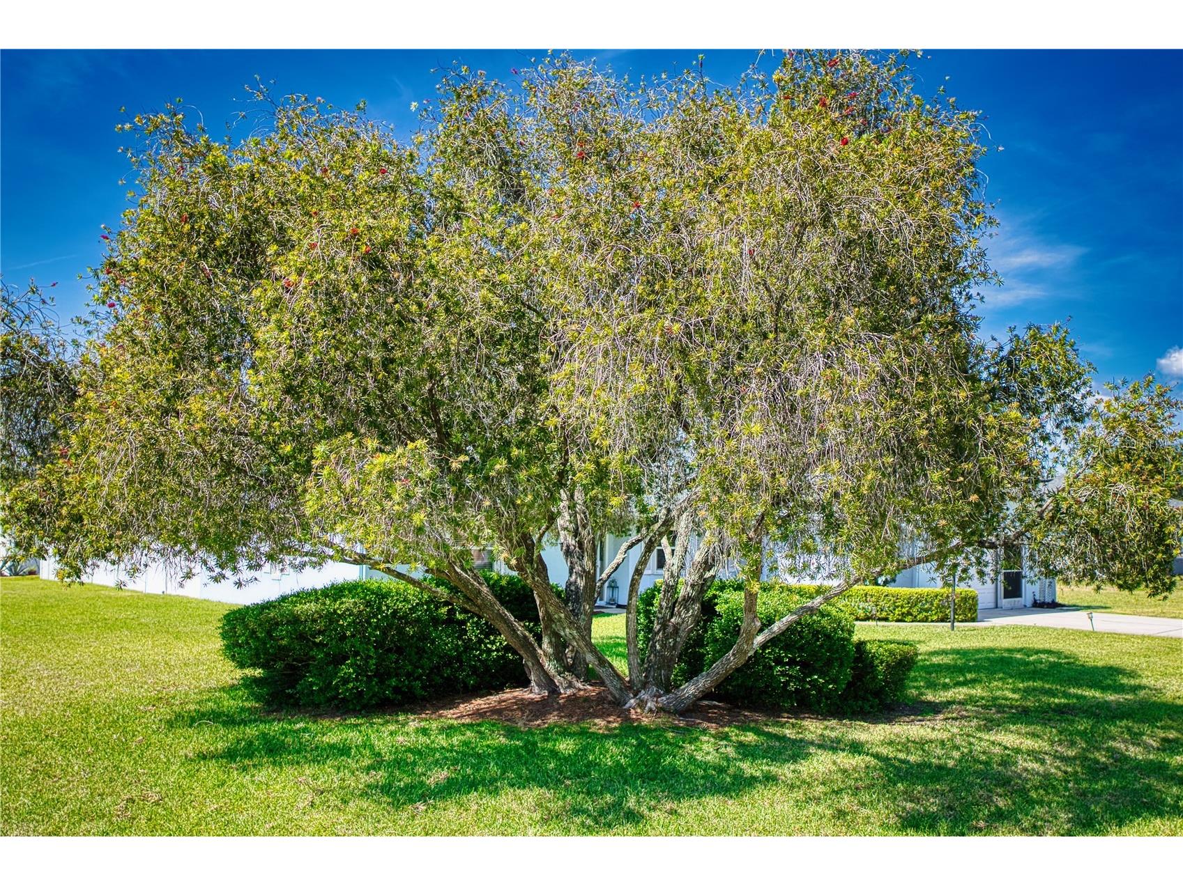 10 Rockwell Lane Palm Coast FL 32164 FC318213 image2