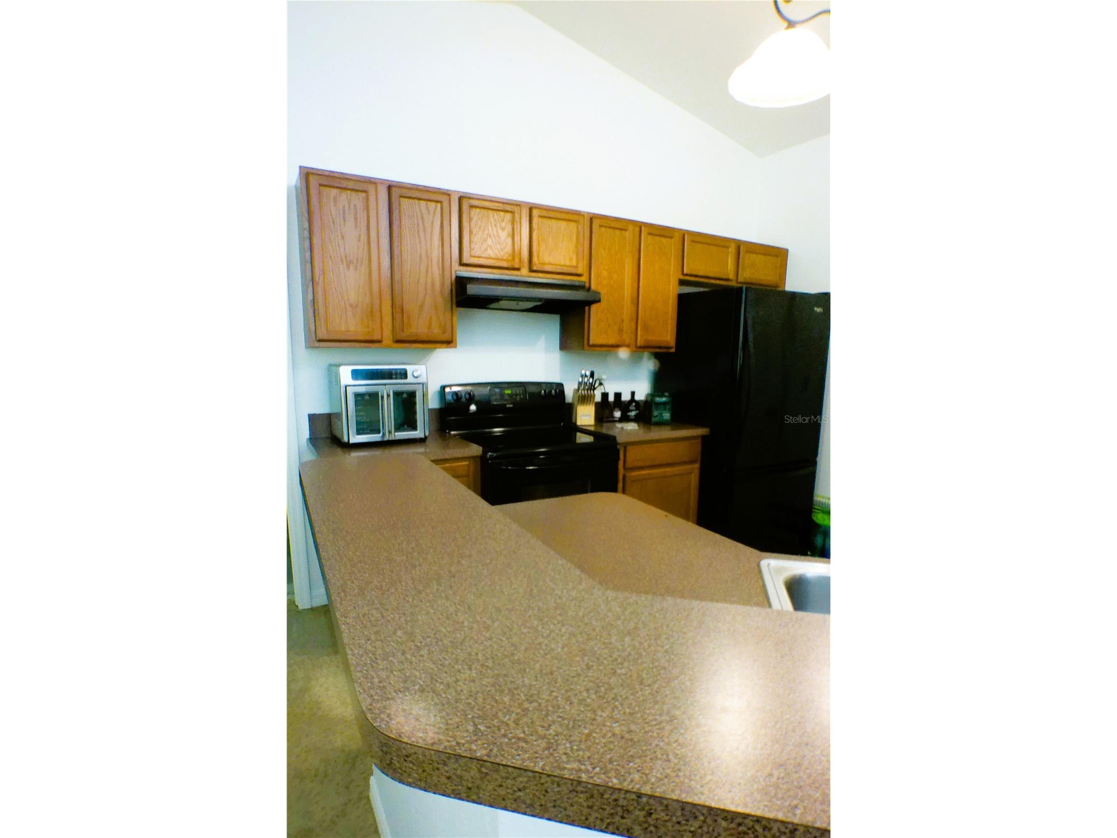 10 Sequoia Drive Trace Ocklawaha FL 32179 OM724330 image30