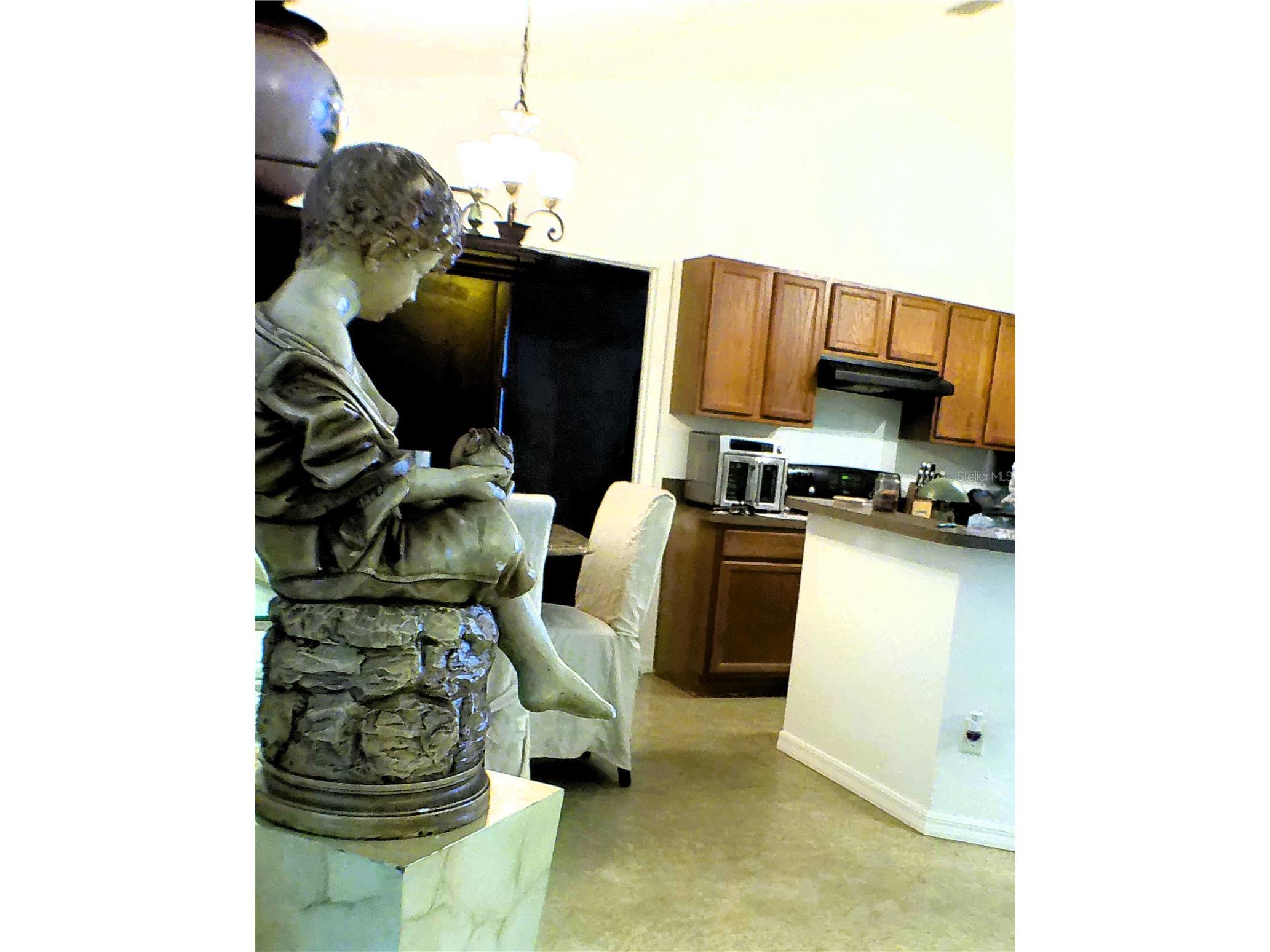 10 Sequoia Drive Trace Ocklawaha FL 32179 OM724330 image43