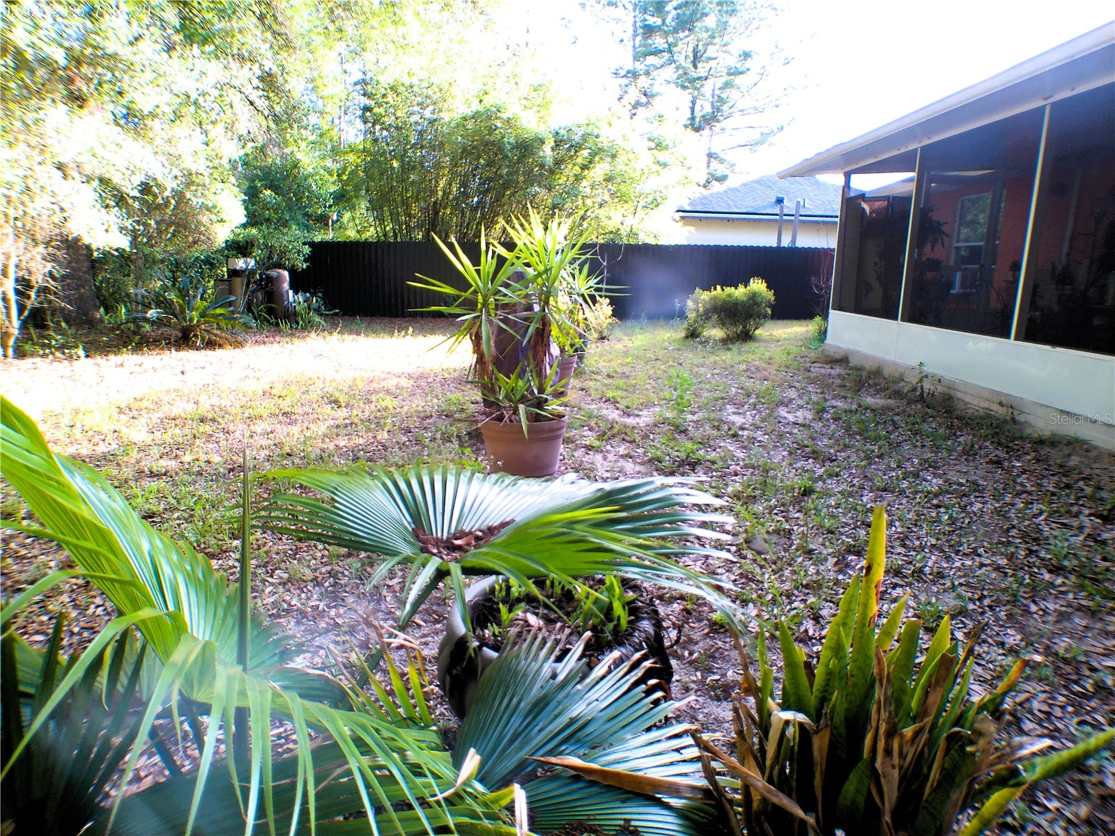 10 Sequoia Drive Trace Ocklawaha FL 32179 OM724330 image59