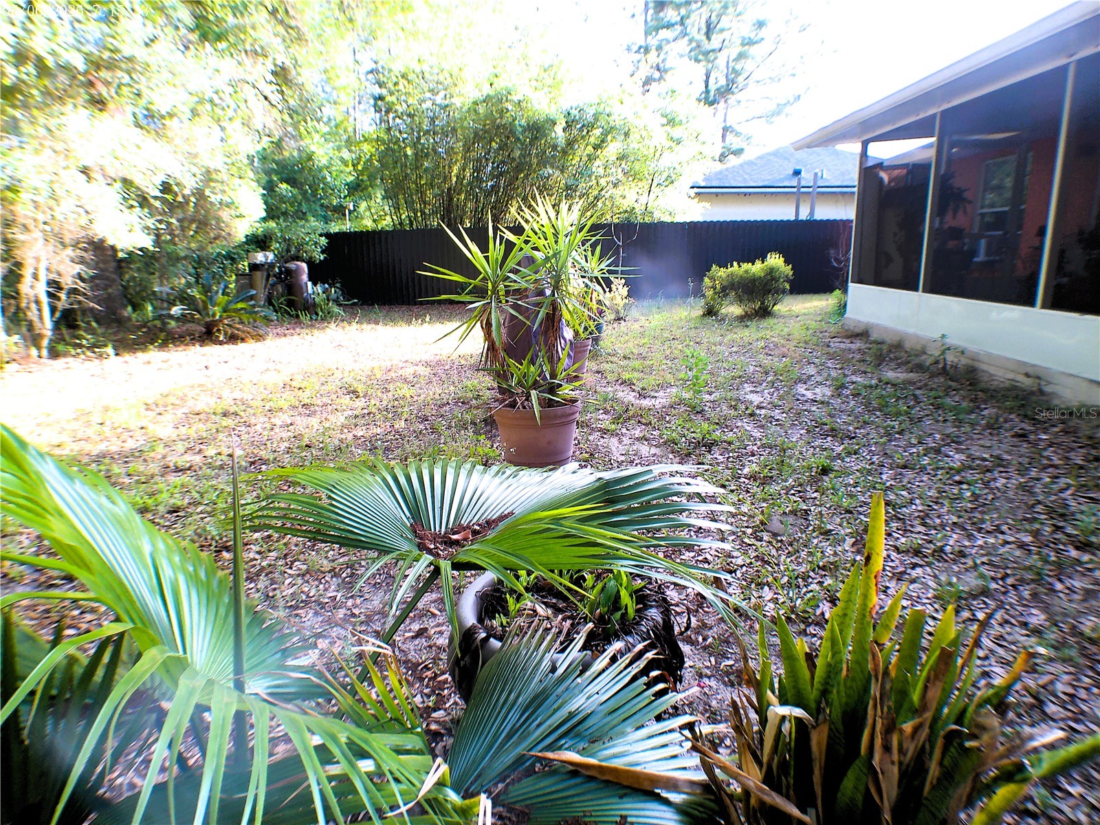 10 Sequoia Drive Trace Ocklawaha FL 32179 OM724330 image60