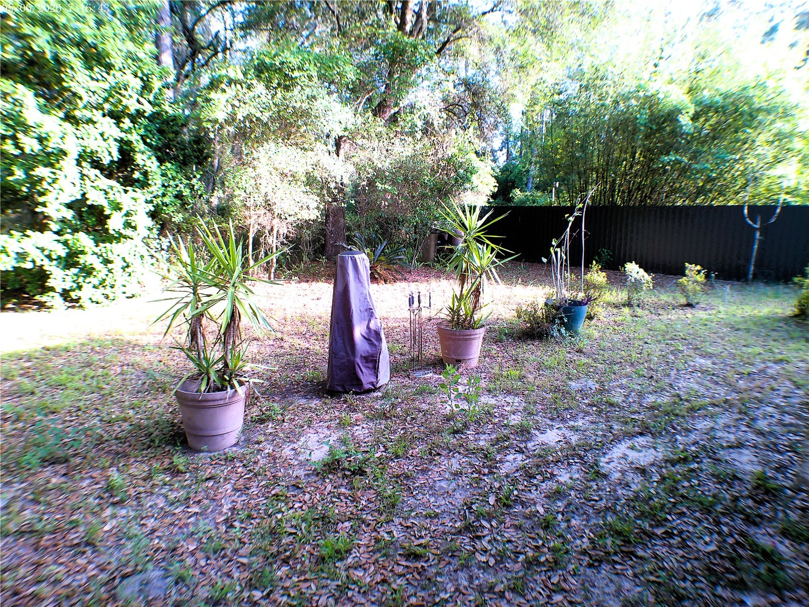 10 Sequoia Drive Trace Ocklawaha FL 32179 OM724330 image61