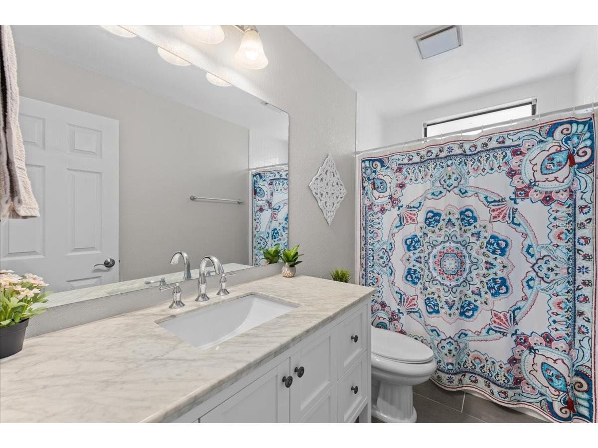 10 Shamrock Way #10 Oldsmar FL 34677 TB8506563 image10
