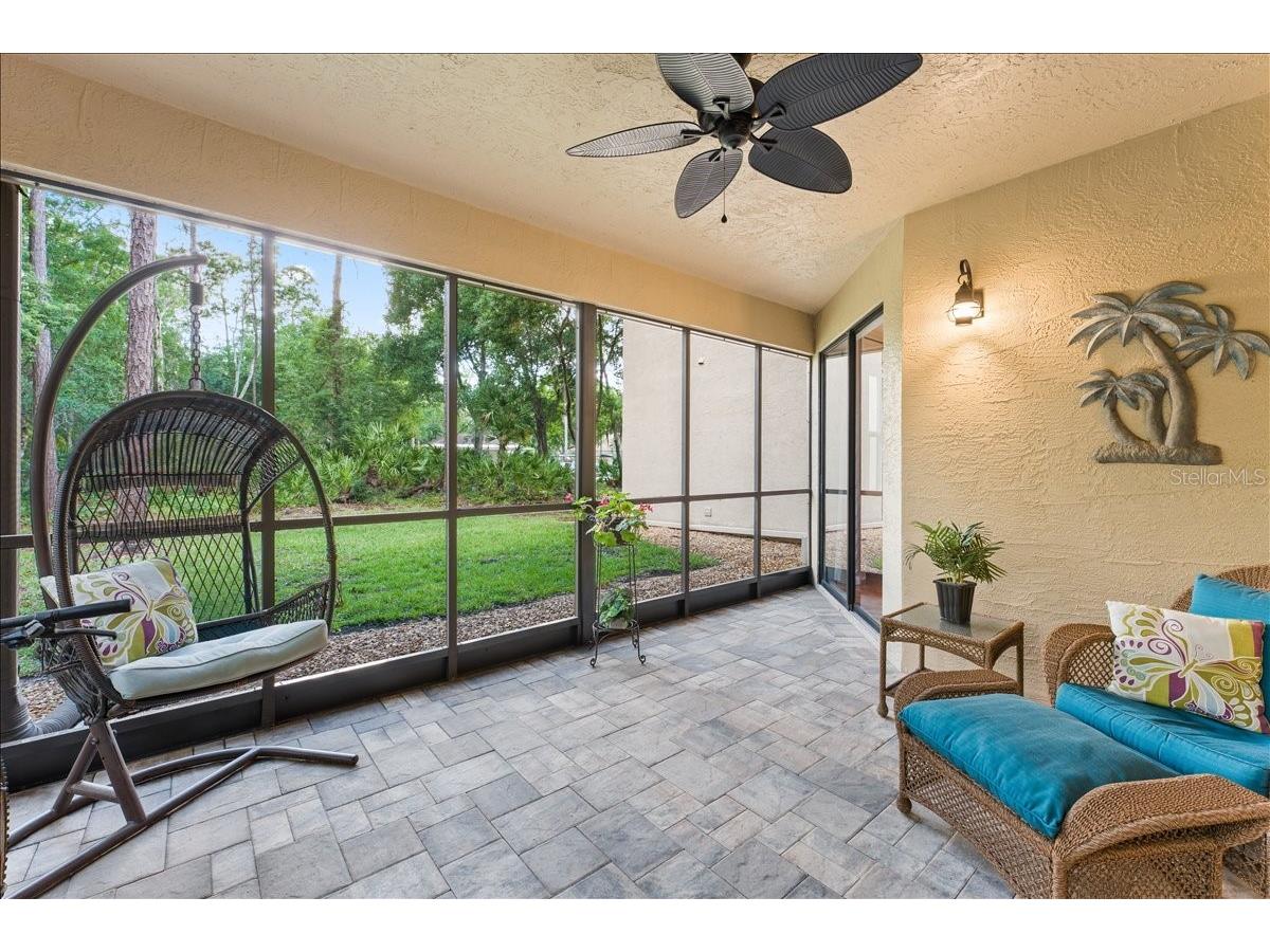 10 Shamrock Way #10 Oldsmar FL 34677 TB8506563 image15