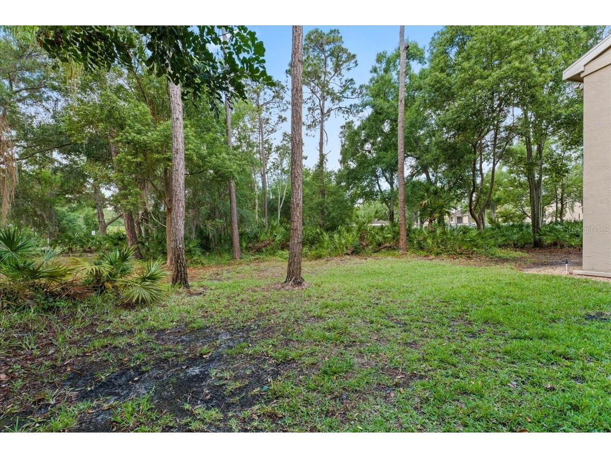 10 Shamrock Way #10 Oldsmar FL 34677 TB8506563 image18