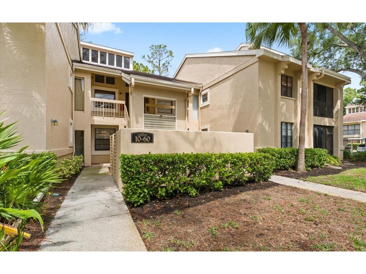 10 Shamrock Way #10 Oldsmar FL 34677 TB8506563 image37
