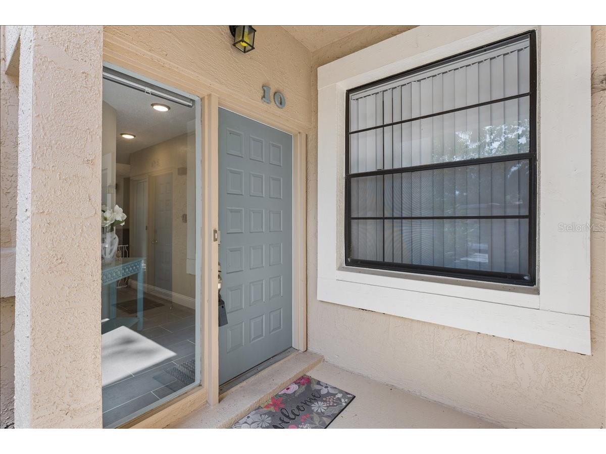 10 Shamrock Way #10 Oldsmar FL 34677 TB8506563 image38