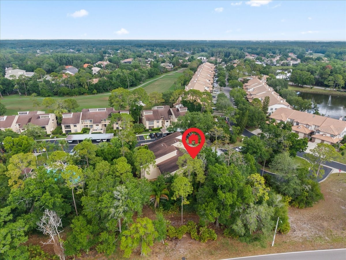 10 Shamrock Way #10 Oldsmar FL 34677 TB8506563 image40