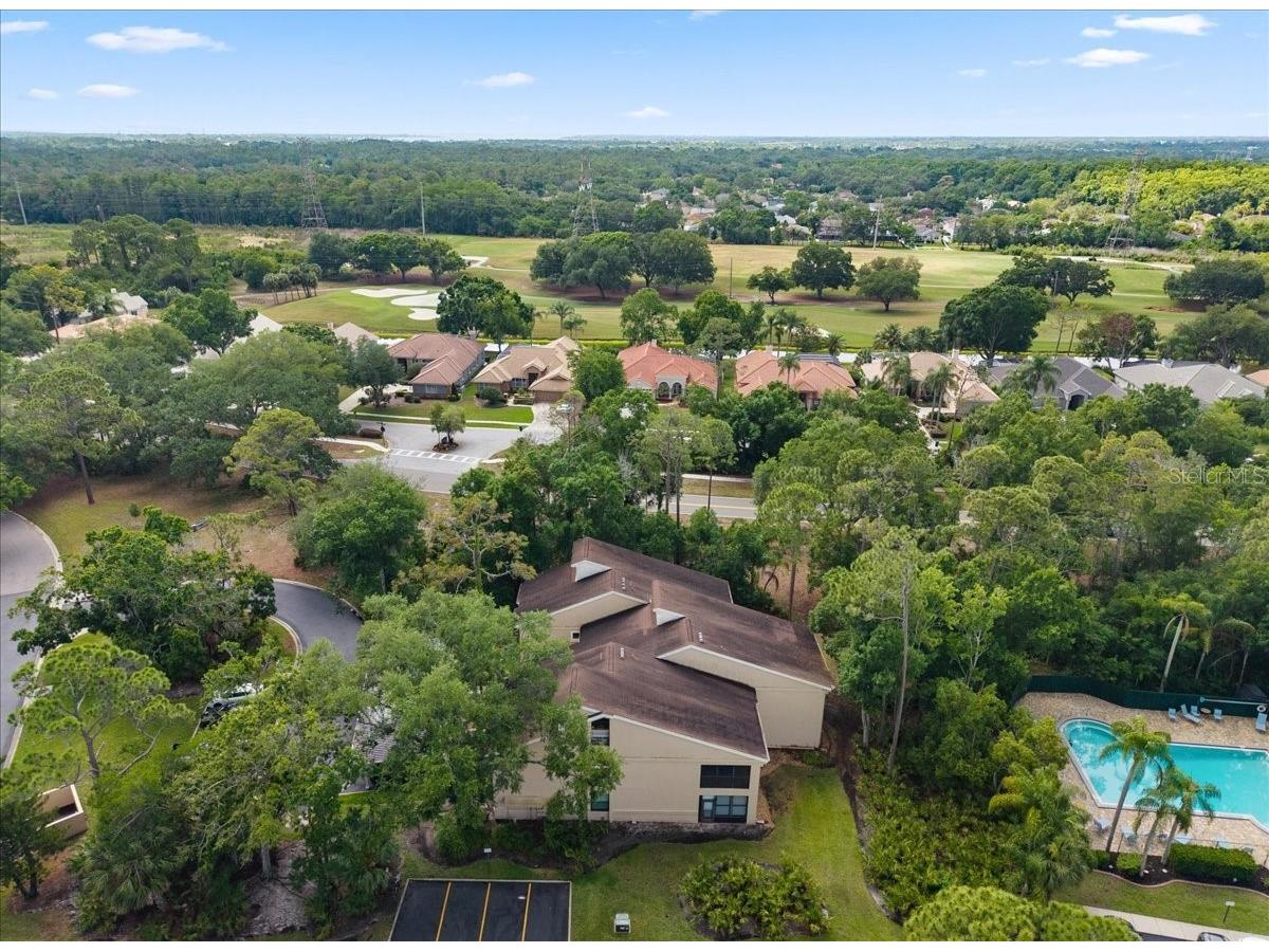 10 Shamrock Way #10 Oldsmar FL 34677 TB8506563 image41