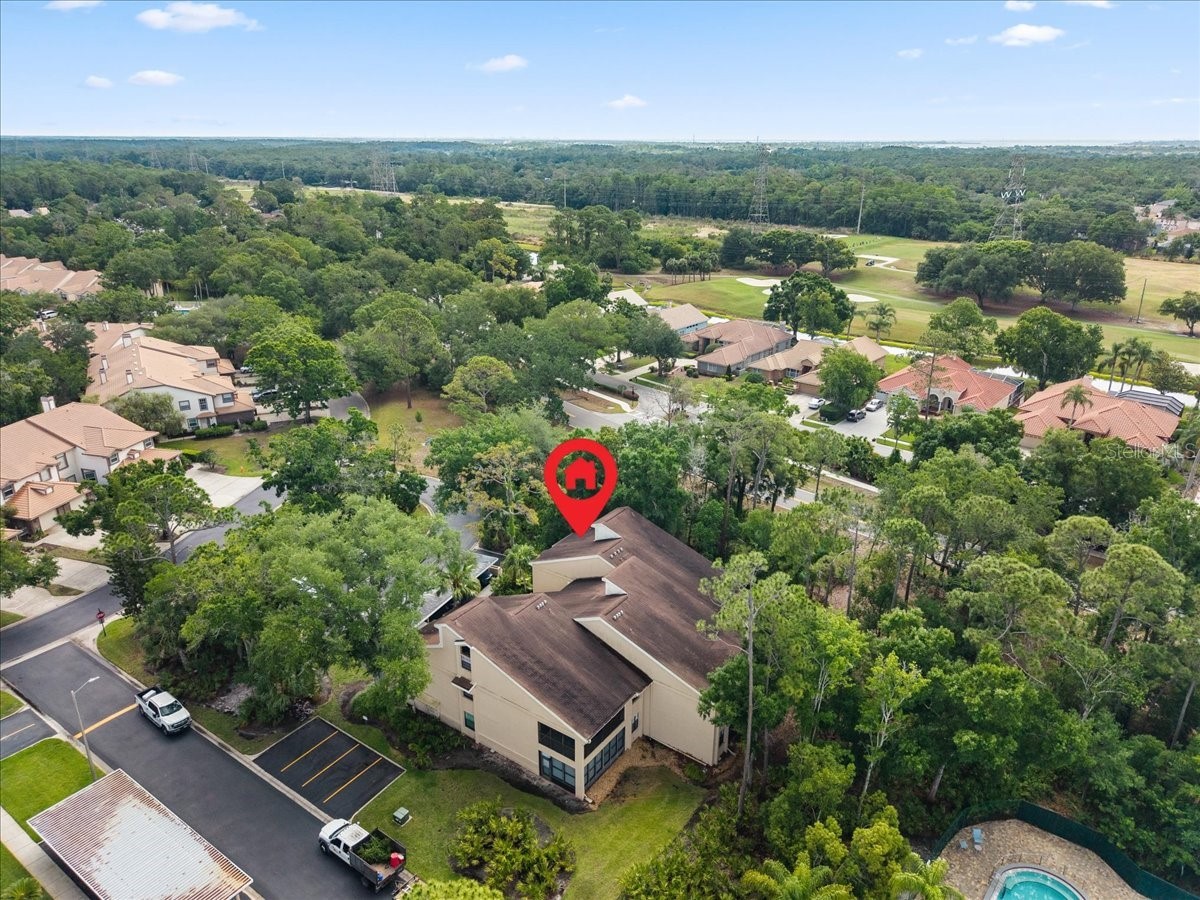 10 Shamrock Way #10 Oldsmar FL 34677 TB8506563 image42