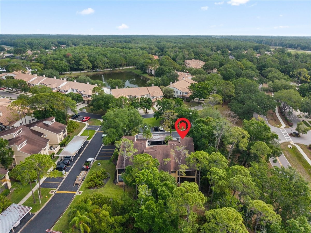 10 Shamrock Way #10 Oldsmar FL 34677 TB8506563 image43
