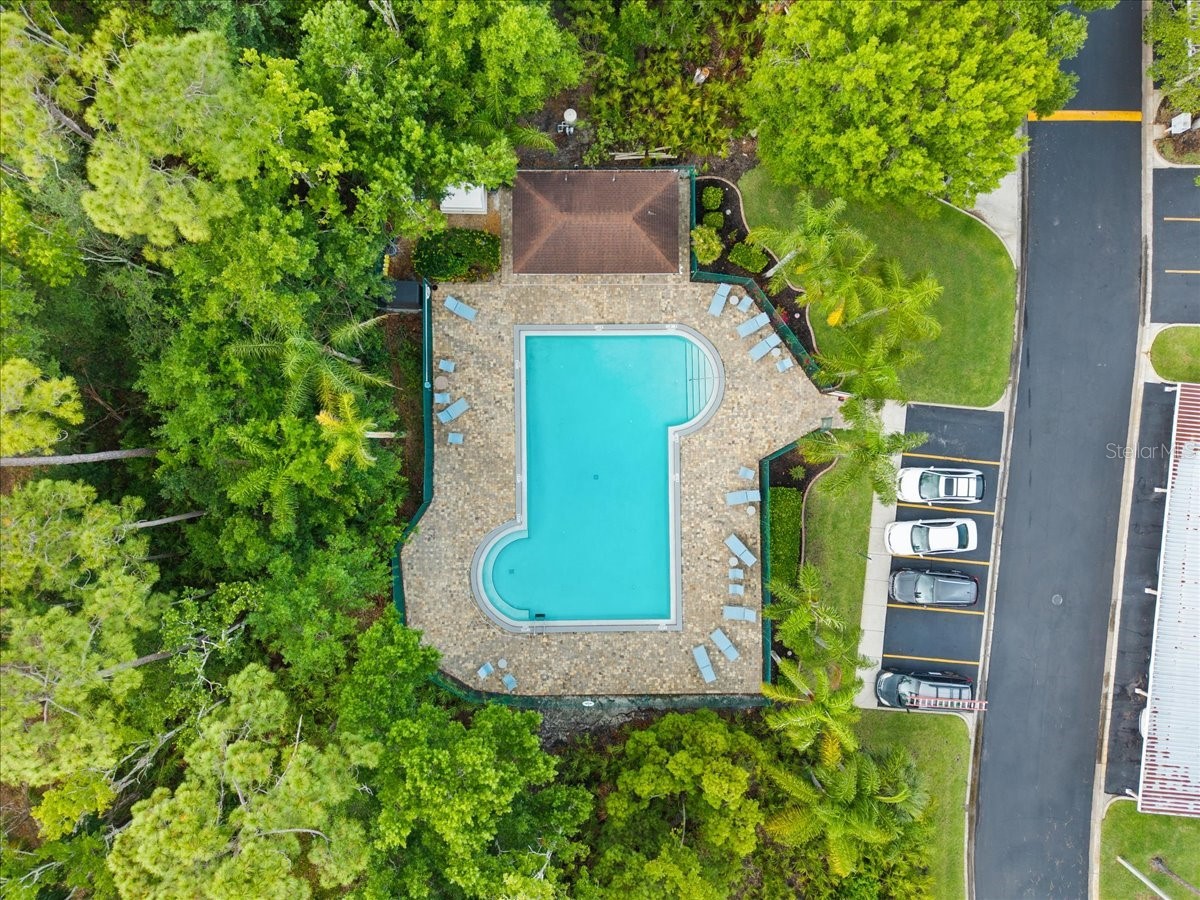 10 Shamrock Way #10 Oldsmar FL 34677 TB8506563 image8
