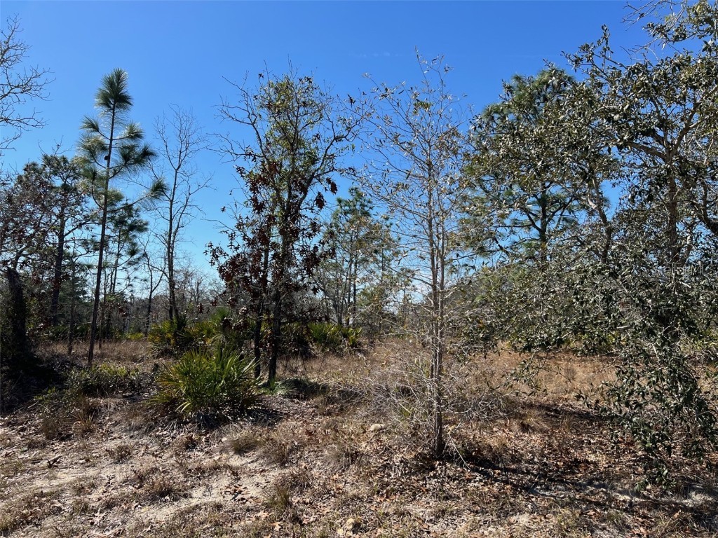 10 Smilax Court S Homosassa FL 34446 U8229826 image1