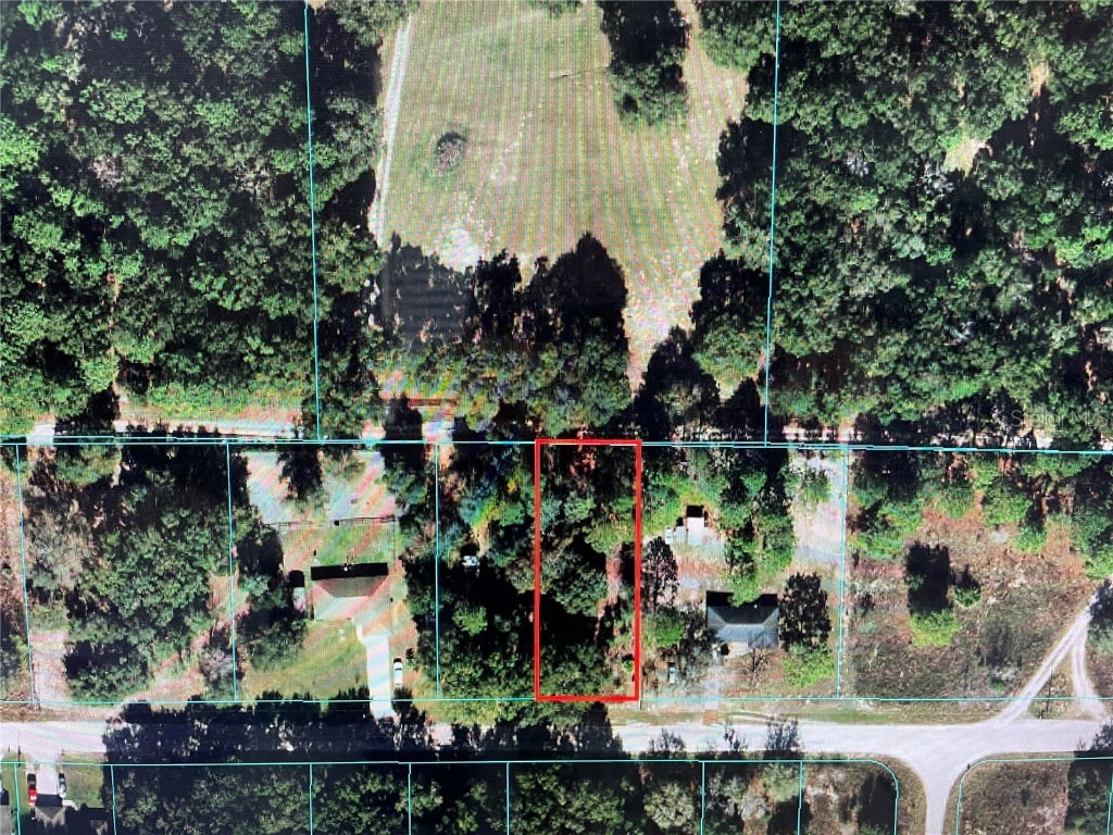 10 SW 100 Lane Dunnellon FL 34432 OM653446 image1