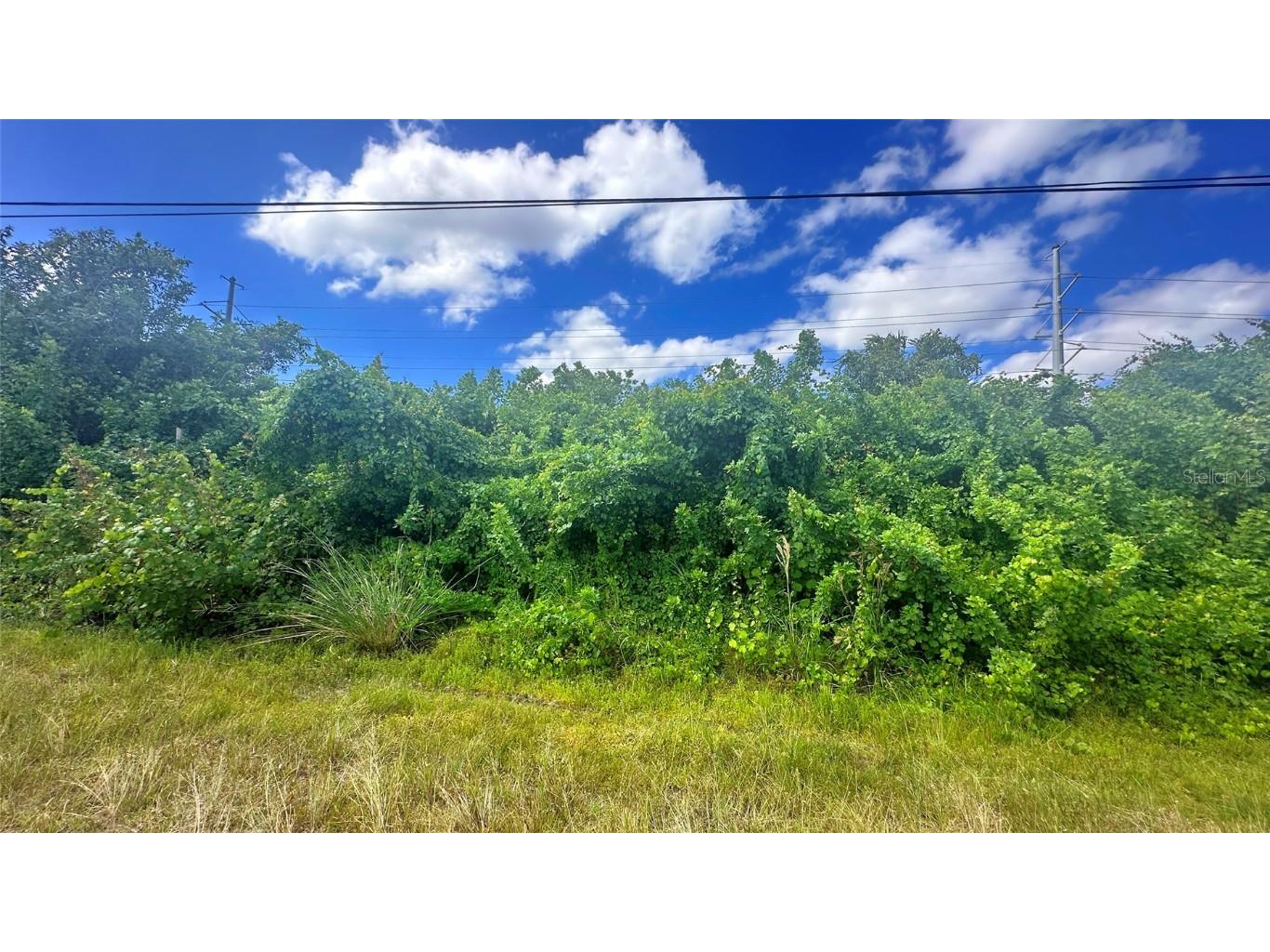 10 SW 24th Avenue Cape Coral FL 33991 A4620744 image1