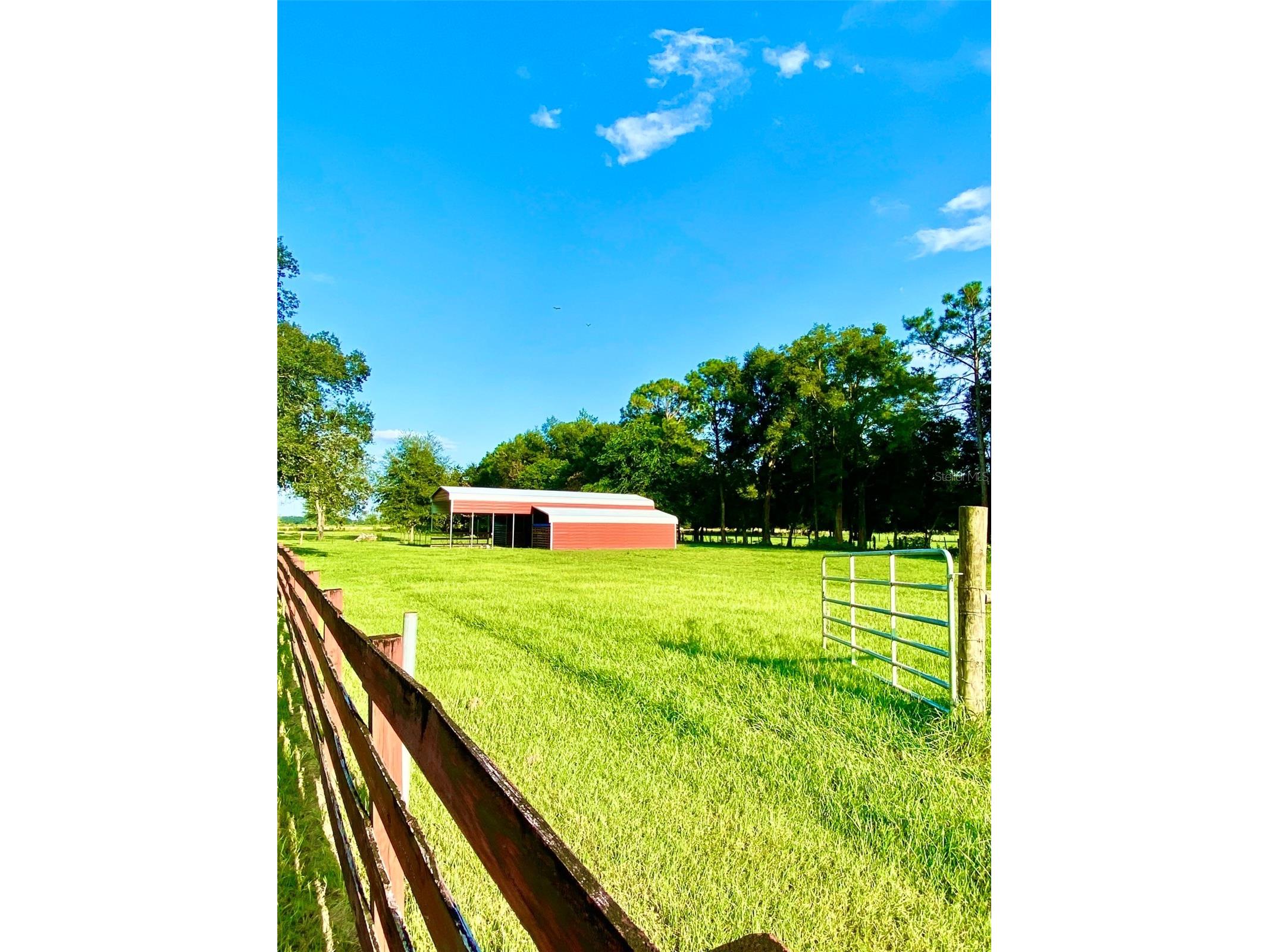 10 SW 50th Avenue Bell FL 32619 GC540477 image15